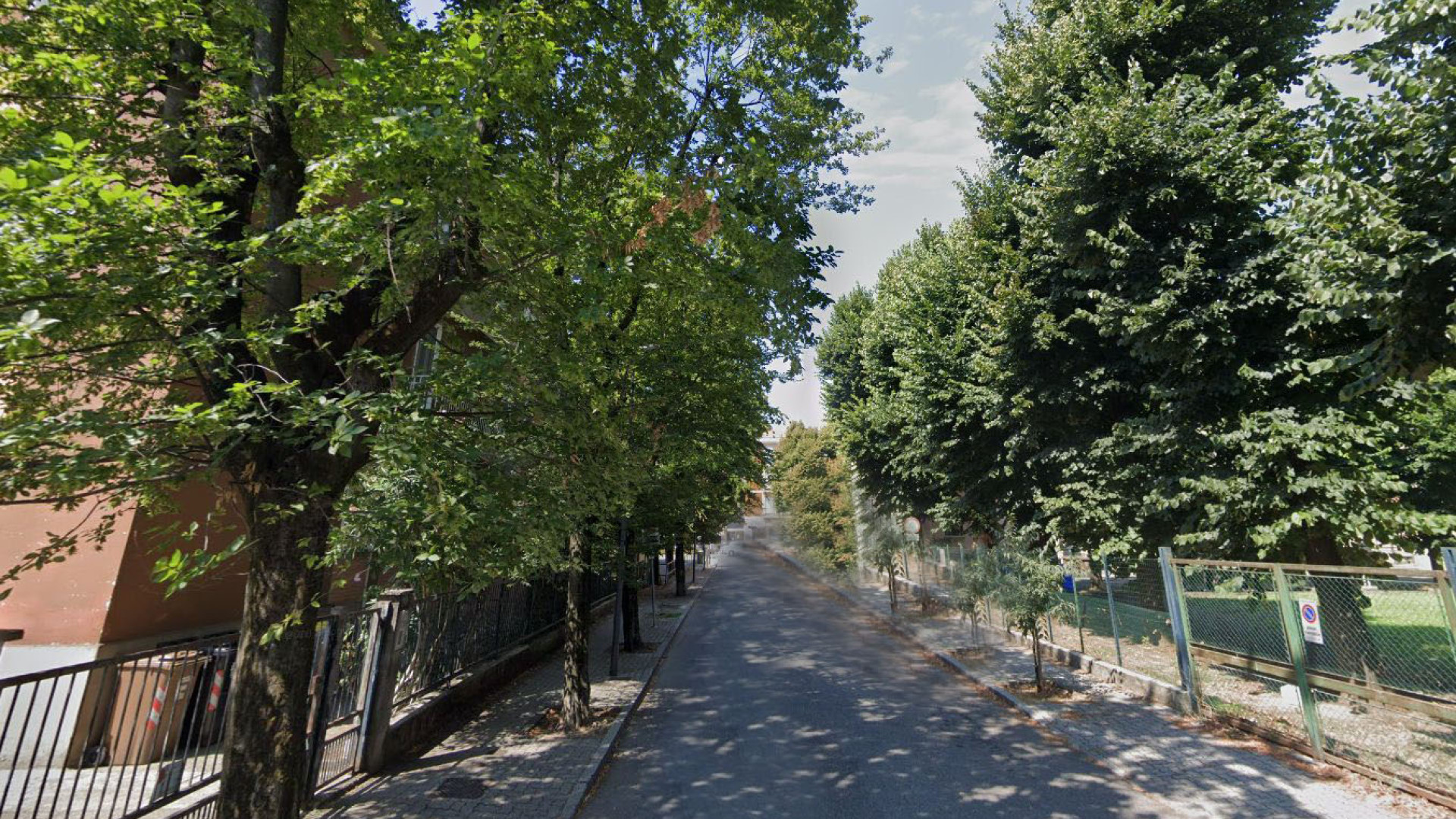 Al via i lavori agli alberi in Via Mischi. Mancioppi: “Strada più sicura e bella”