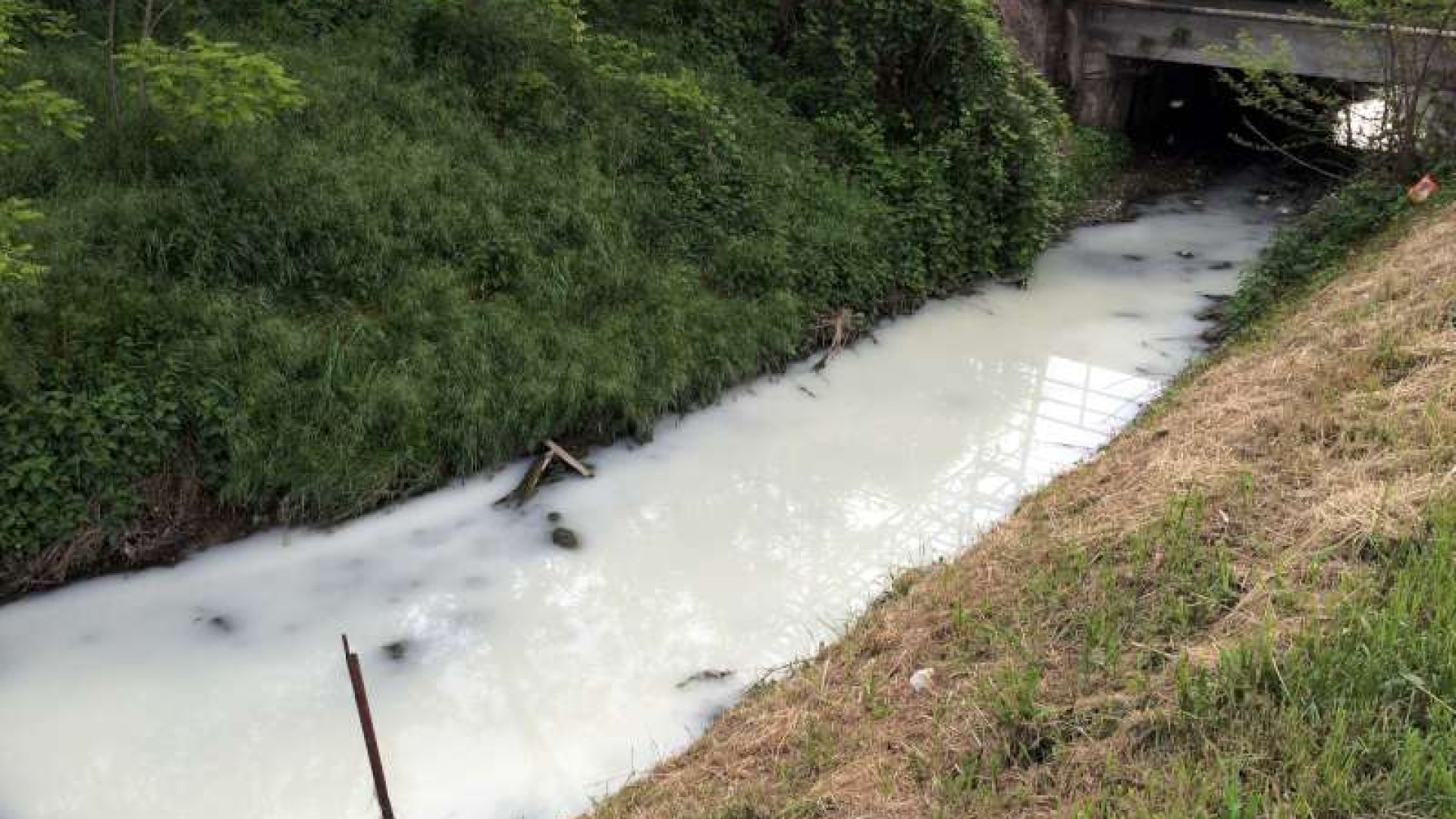 Sarmato, sversamento ieri nel rio Corniolo. Situazione tornata normale