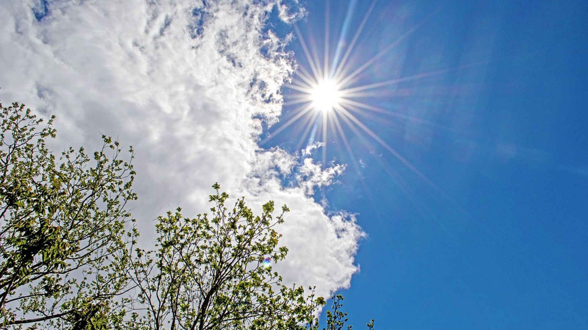 Termometro altalenante: ieri temperatura record di 22 gradi, oggi calo