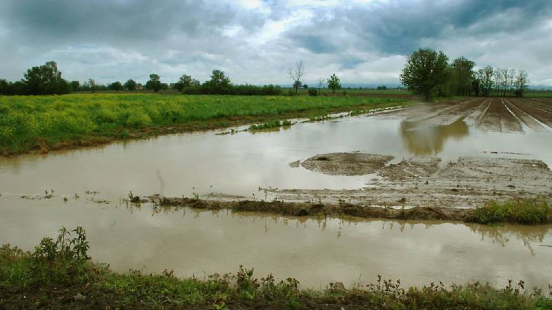 Alluvione, Coldiretti stima 4.7 milioni di euro di danni in agricoltura
