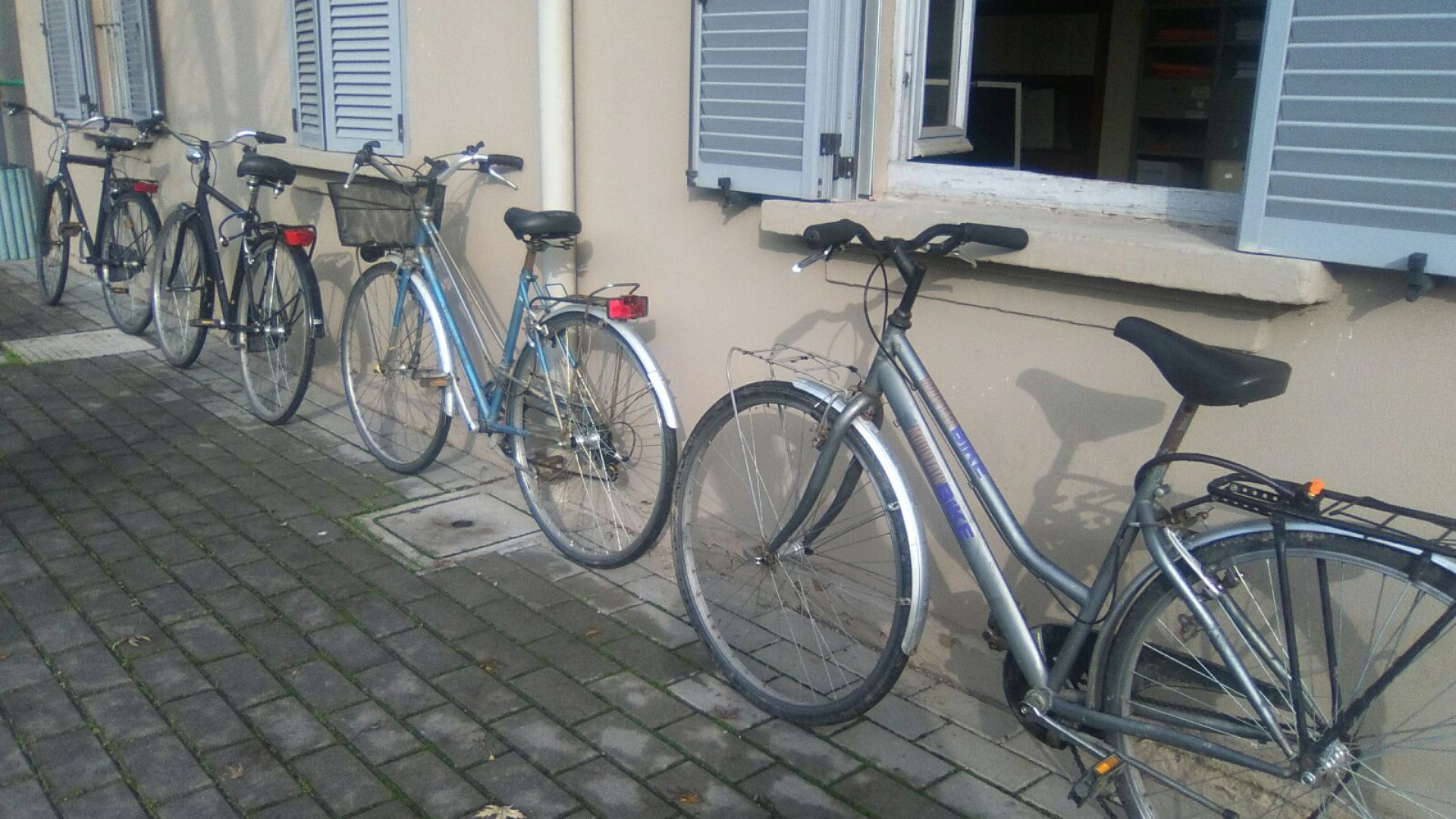Biciclette, borsette e portafogli vuoti: refurtiva dietro un cespuglio in via Bubba