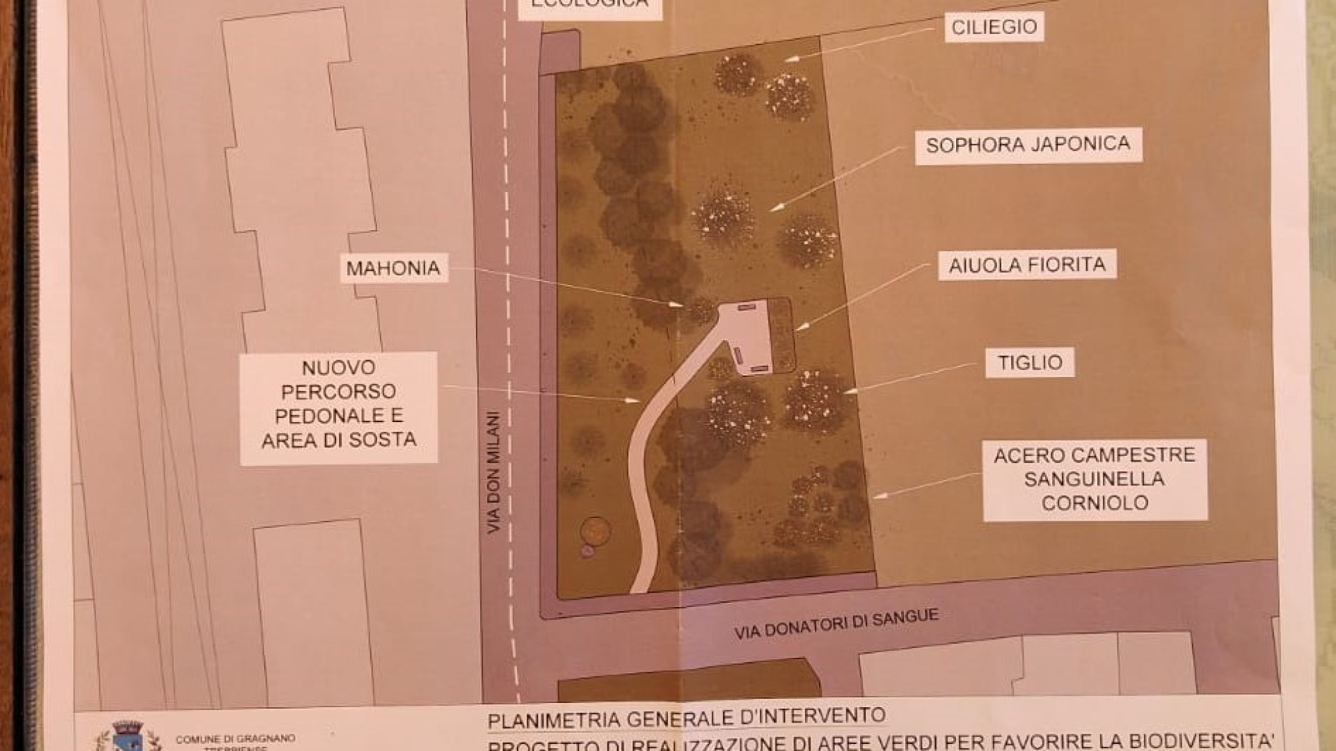 A Gragnano arrivano i "Giardini delle api": due aree per la biodiversità