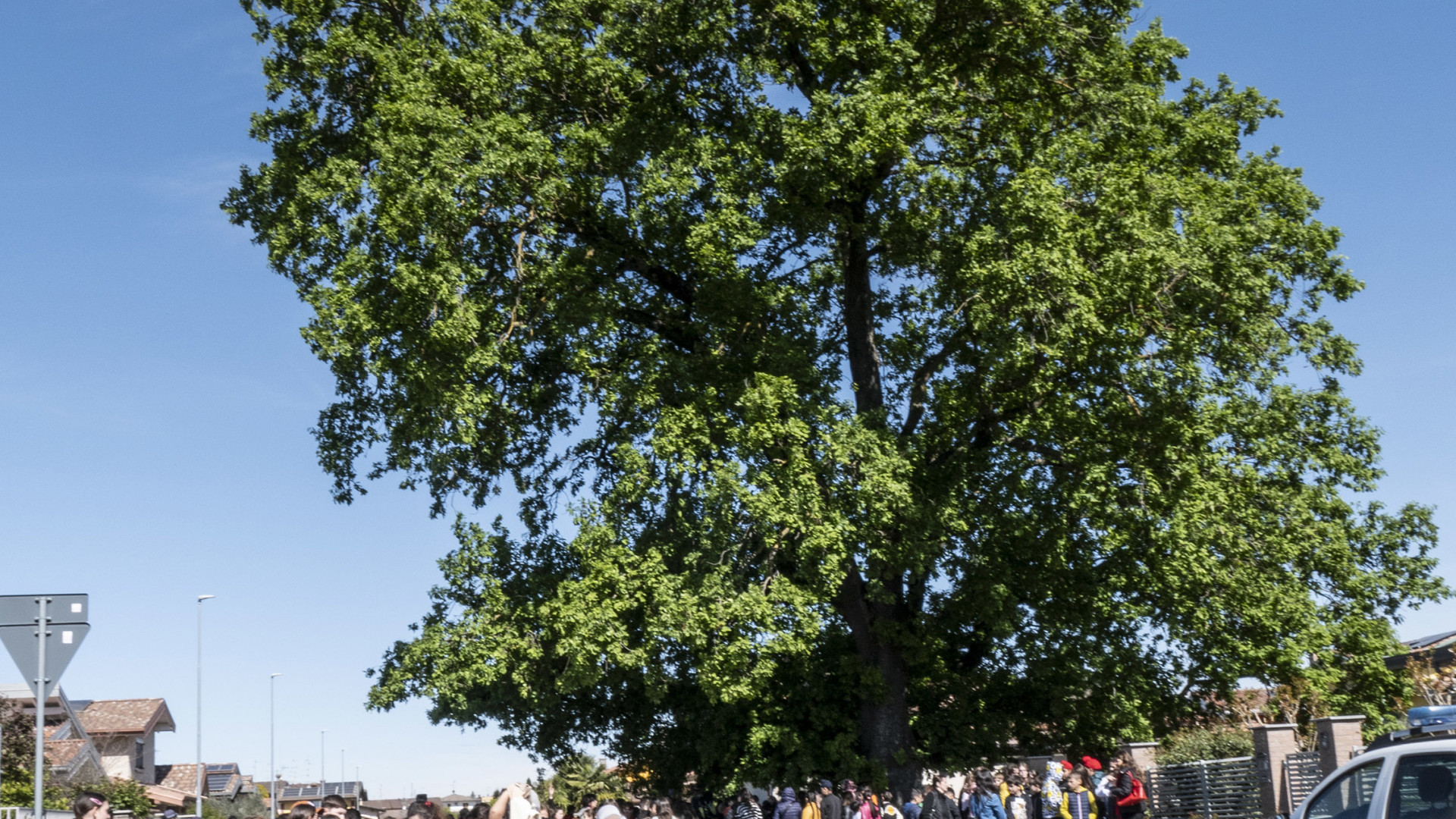 A Castel San Giovanni |la quercia  "Nonna Speranza" diventa albero della legalità