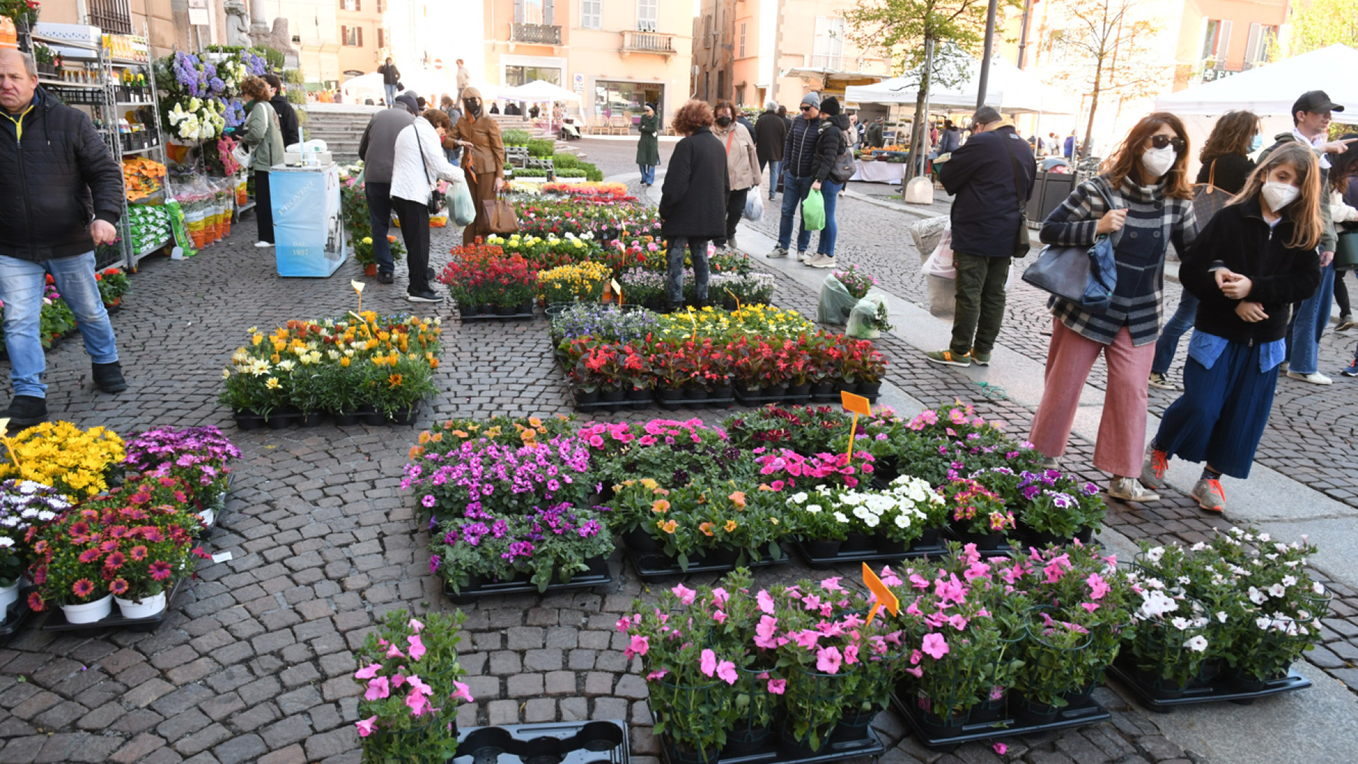 In centro storico sboccia la primavera: "Piacenza in fiore" è un successo