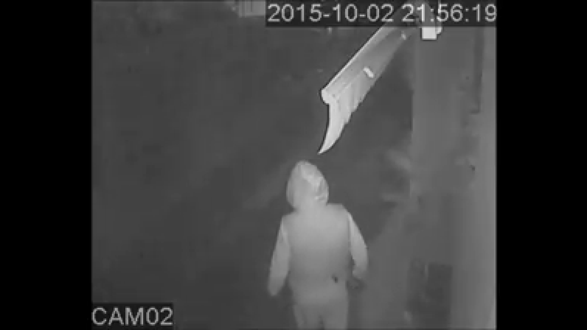 Tentano il colpo a Fiorenzuola: ladri ripresi dalle telecamere