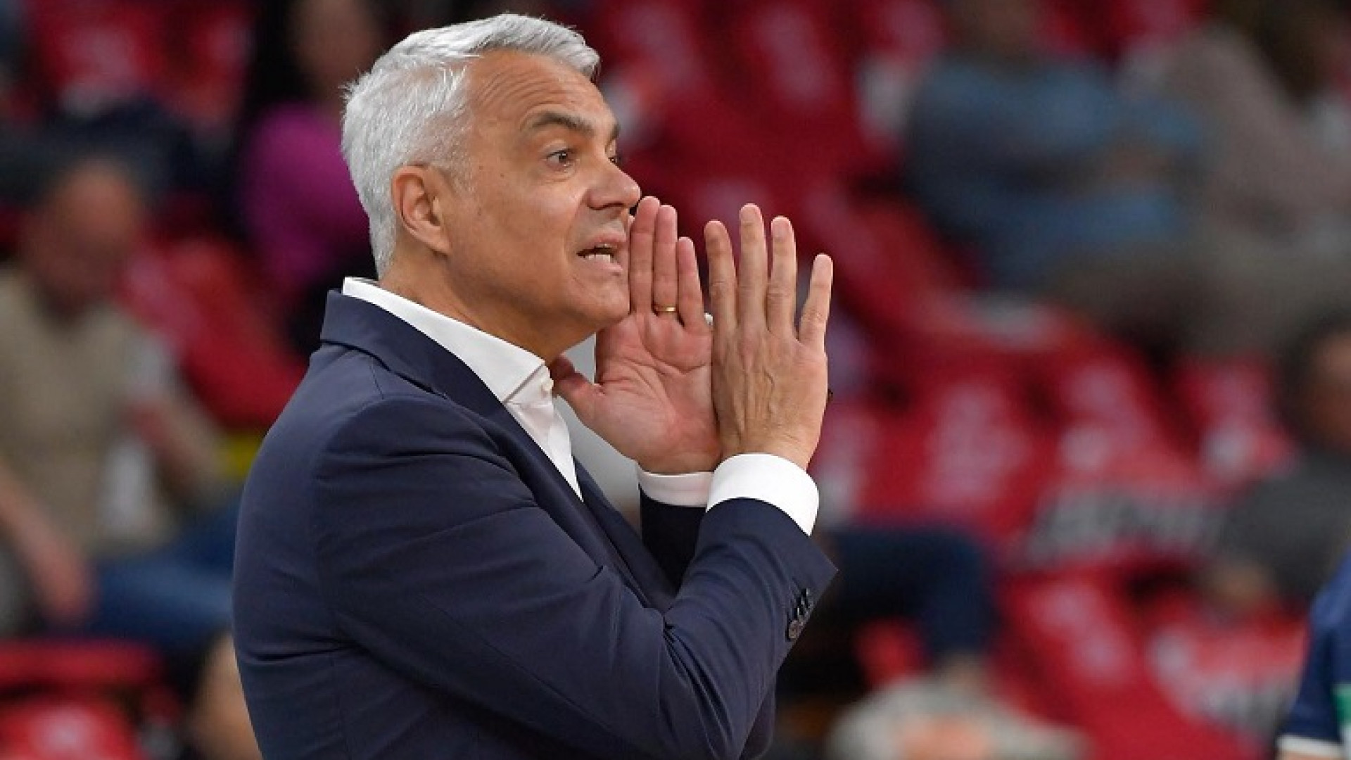 Gas Sales, Andrea Anastasi è il nuovo allenatore. Mercoledì la presentazione