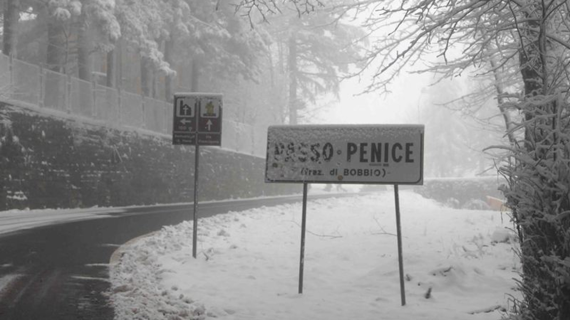 La prima abbondante nevicata sul Penice