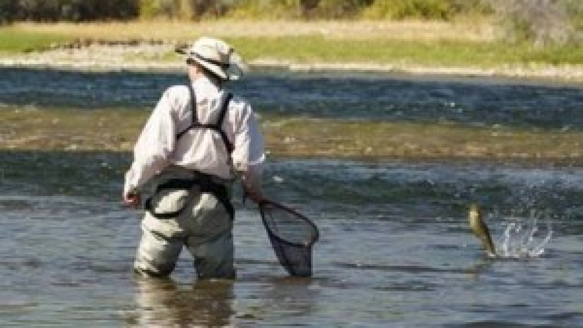 Pesca, nuove normative in arrivo dal regolamento regionale