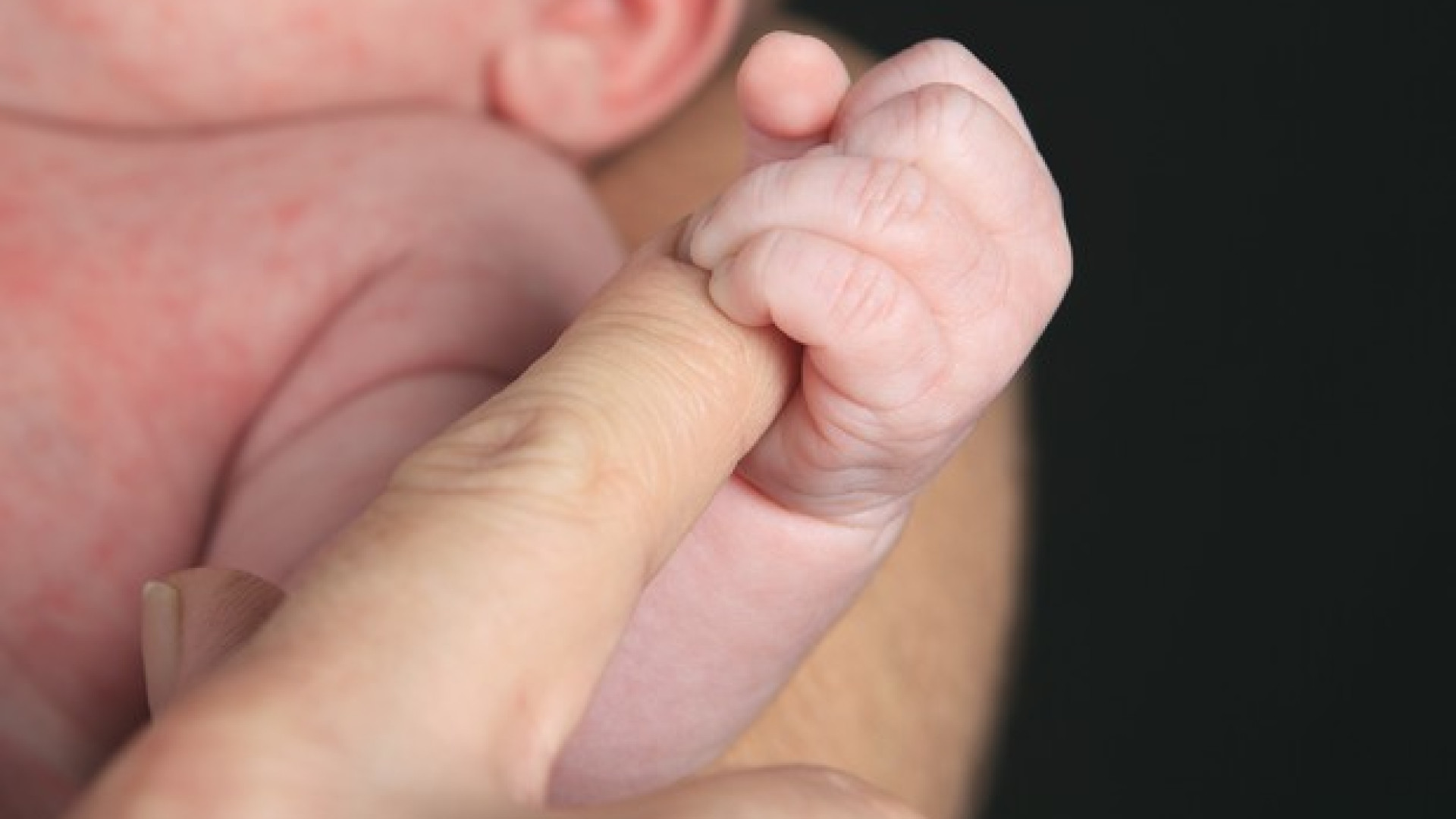 Quattro mamme positive su 15 ricoverate. "No criticità nella gestione dei parti"