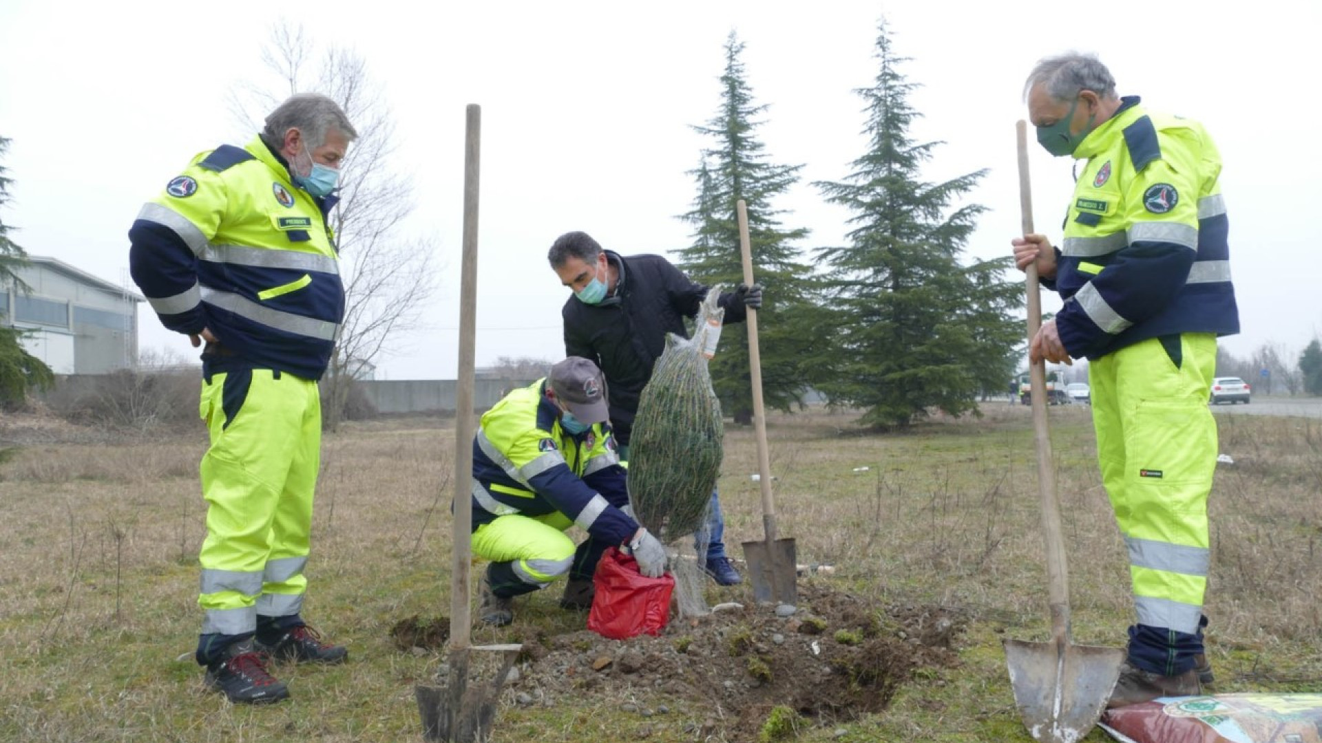 In memoria delle vittime Covid ripiantati da Plastic Free sedici alberi di Natale