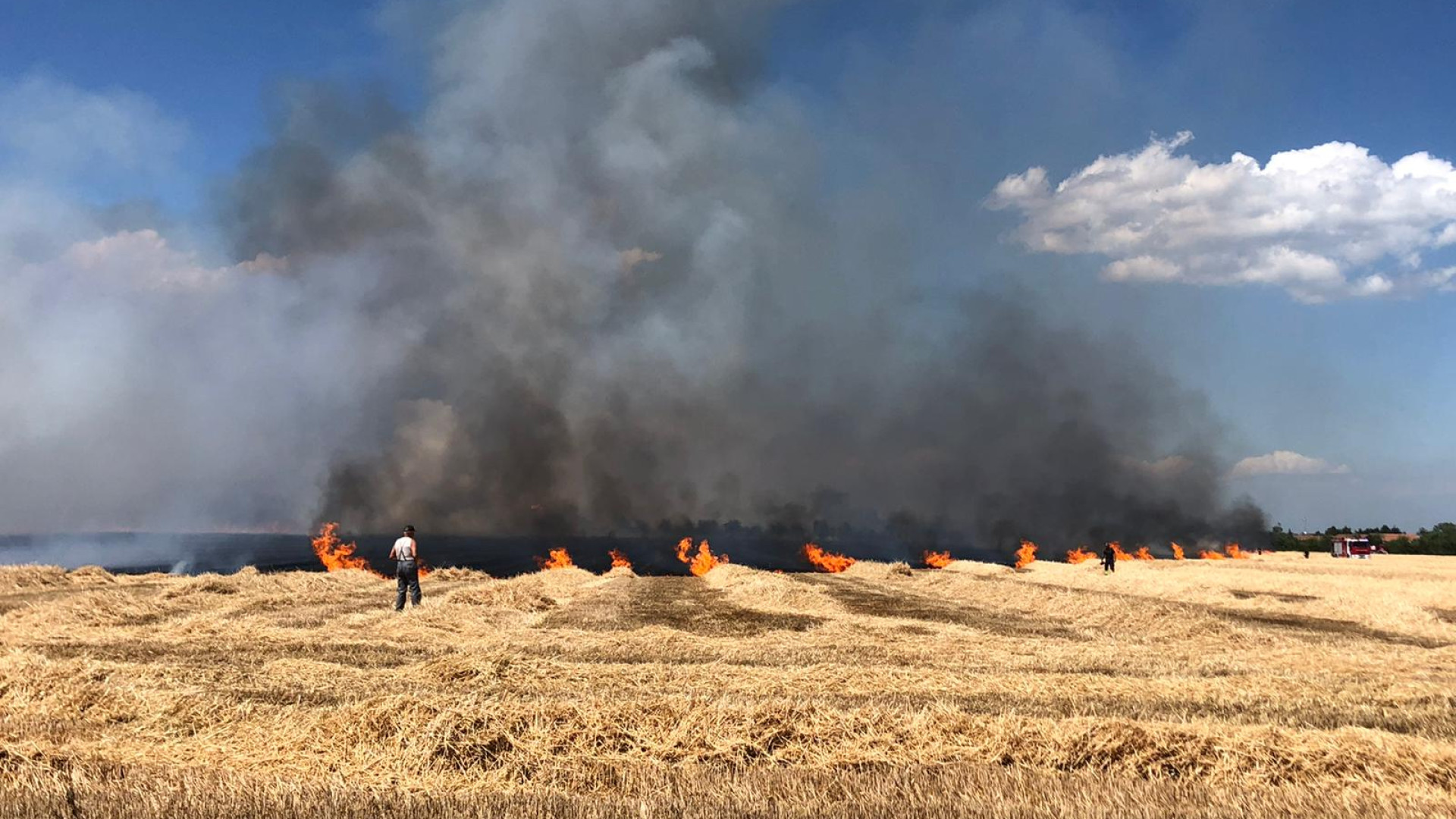 Incendio alla Farnesiana, senso unico alternato sulla Provinciale