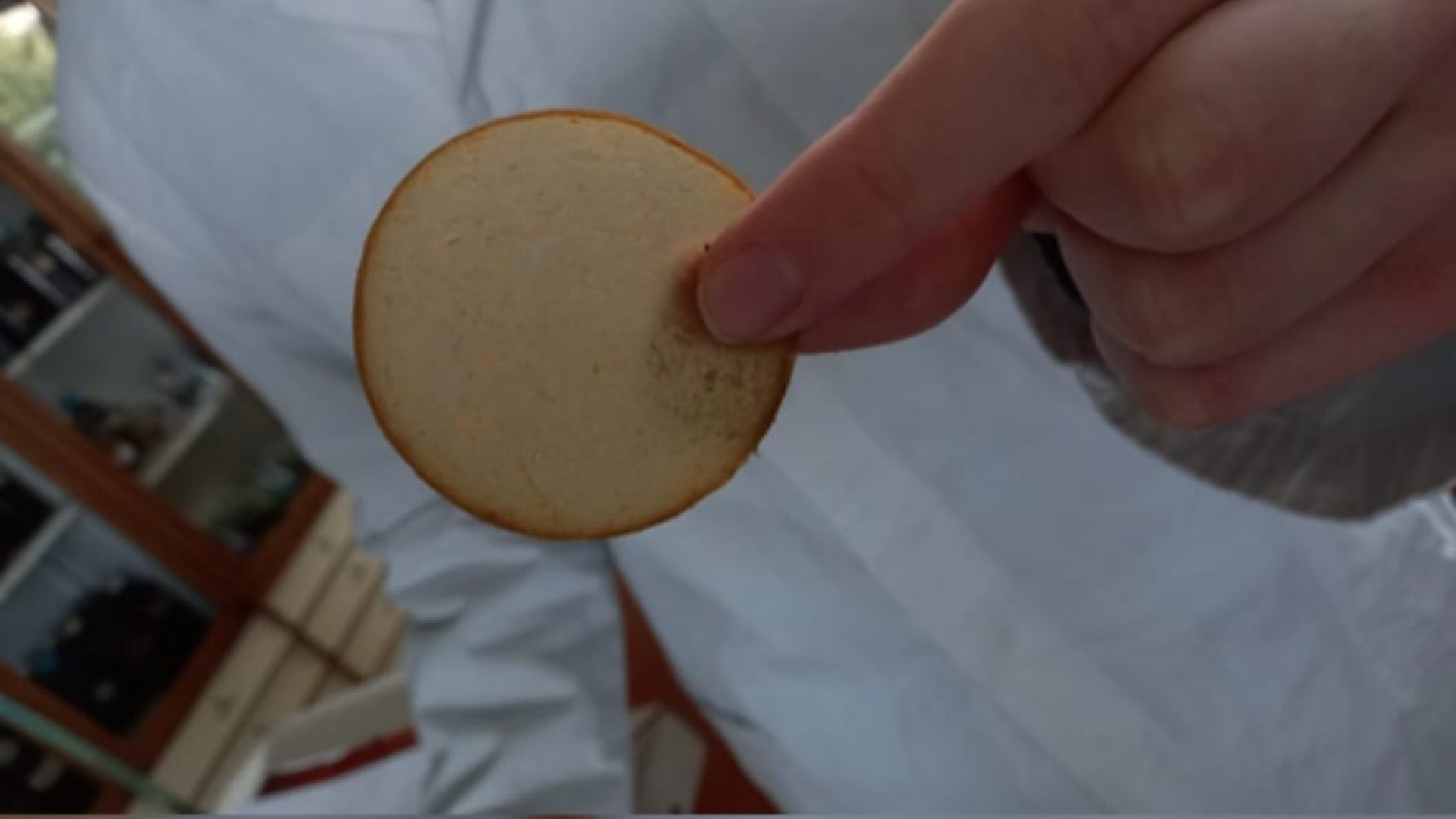 Finocchi, acqua, limone e latte: gli studenti dell'Itas preparano la bioplastica