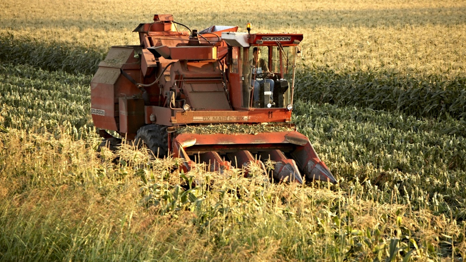 Agricoltura biologica, Piacenza tra le prime in regione: "Settore in crescita"
