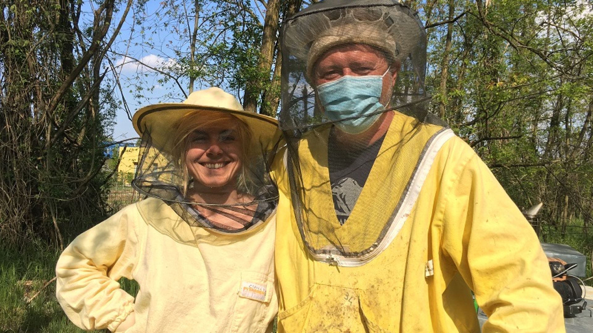 Ape regina da salvare, presidente piacentino per l'associazione che le protegge