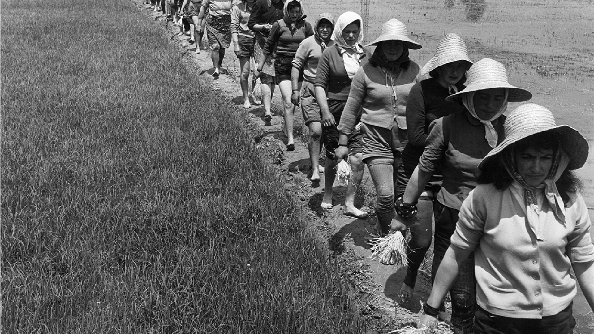 Il Novecento raccontato dalle foto di Tino Petrelli. Mostra in Santa Chiara