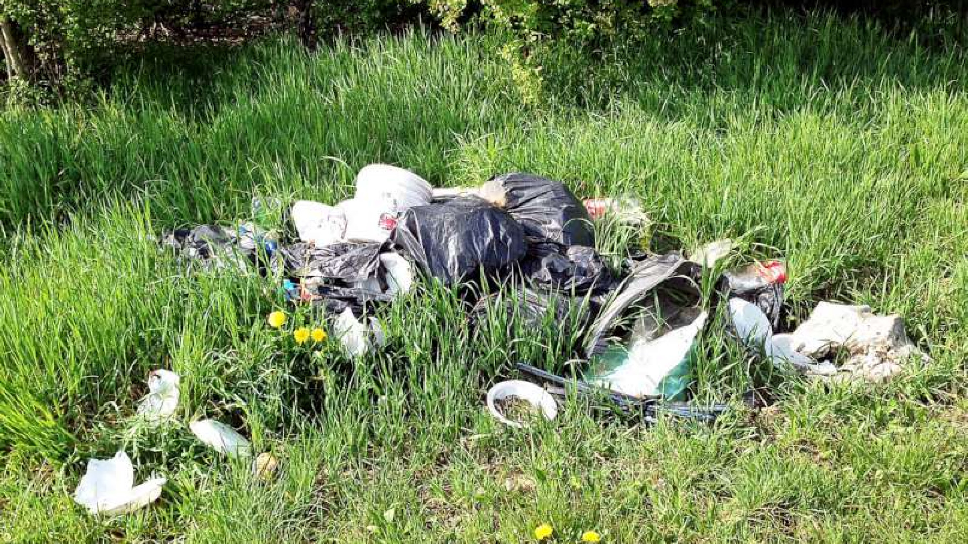Controlli sul Po delle guardie ittiche: discarica abusiva nella lanca Maginot