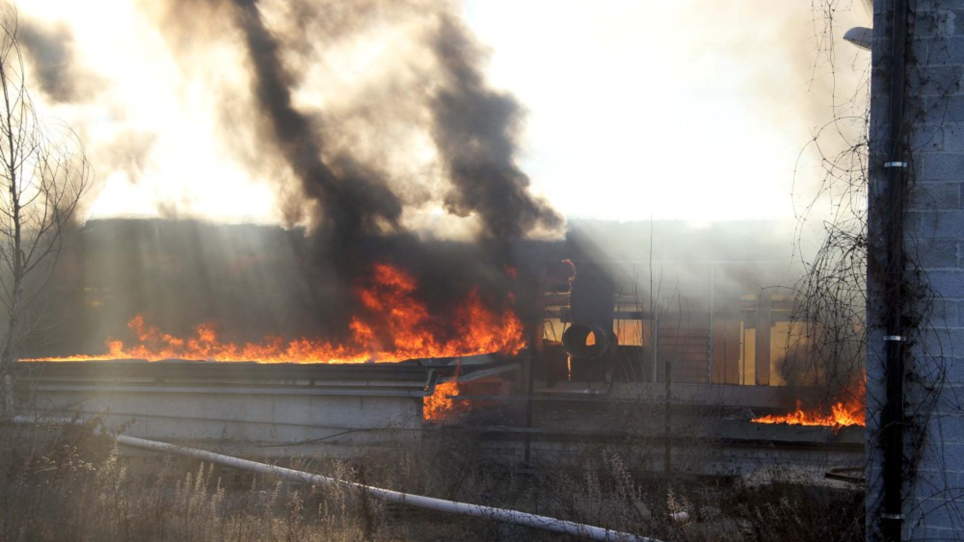 Rotoballe in fiamme, rogo a Roncovero di Bettola. Sul posto quattro autobotti