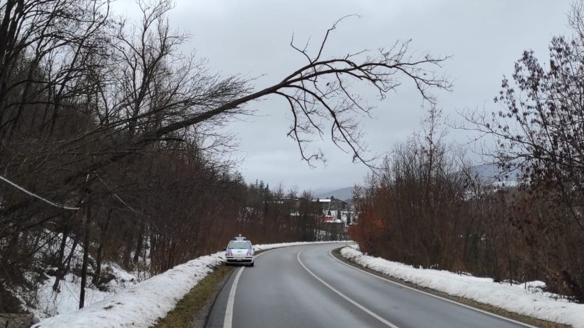 Frana e albero pericolante a Recesio: strada provinciale chiusa e traffico deviato