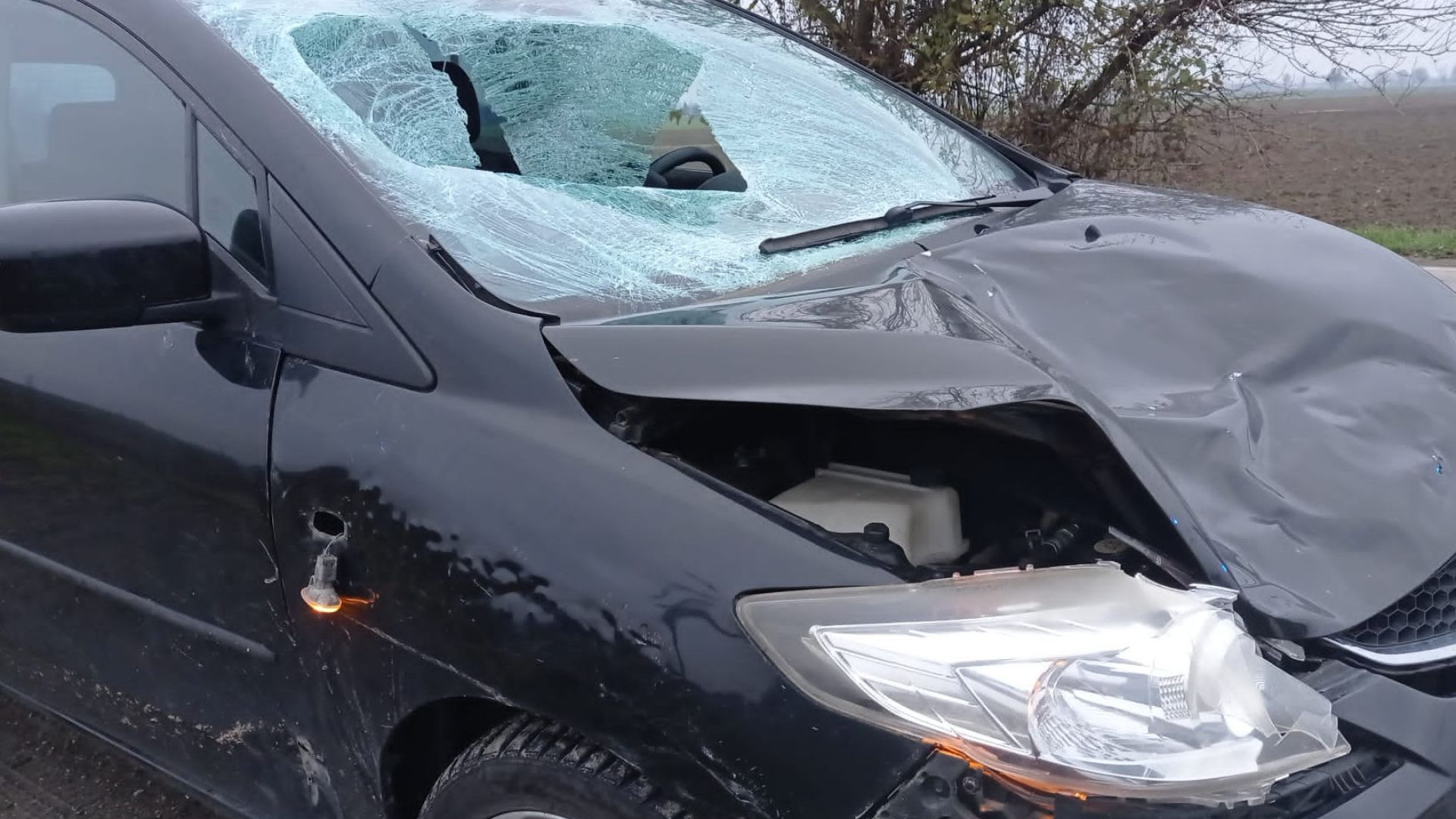 Tragedia all'alba a San Nicolò: giovane travolto e ucciso da un'auto