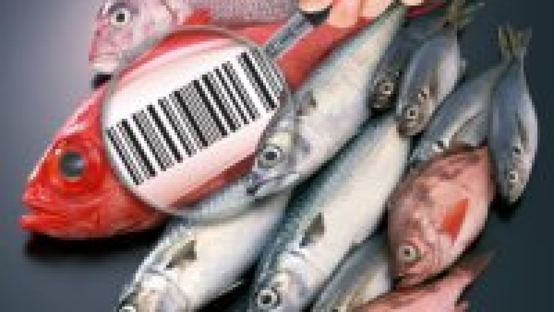 Coldiretti: “Occhio alle etichette del pesce”. Consumi in aumento nelle feste