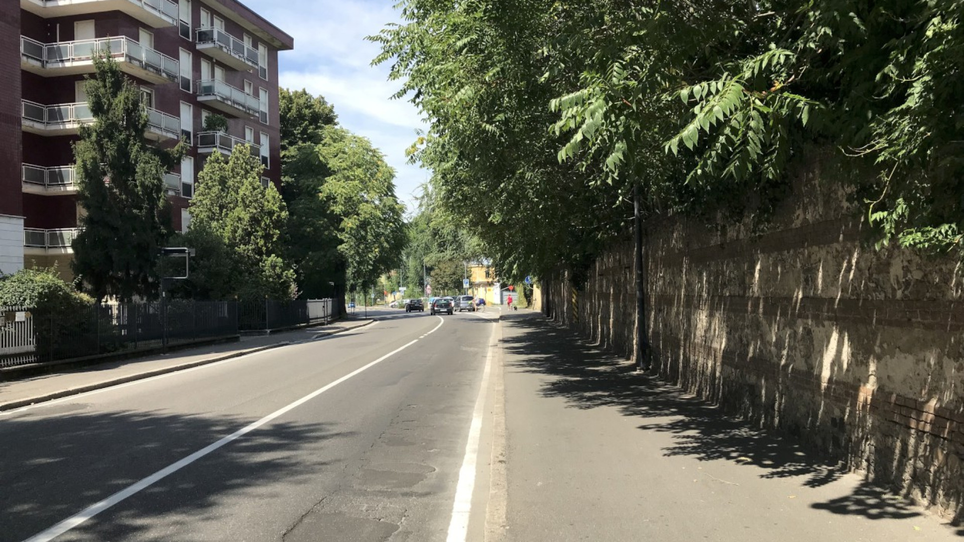 Crescita incontrollata, rami sopra via XXIV Maggio. "Pericolosi"