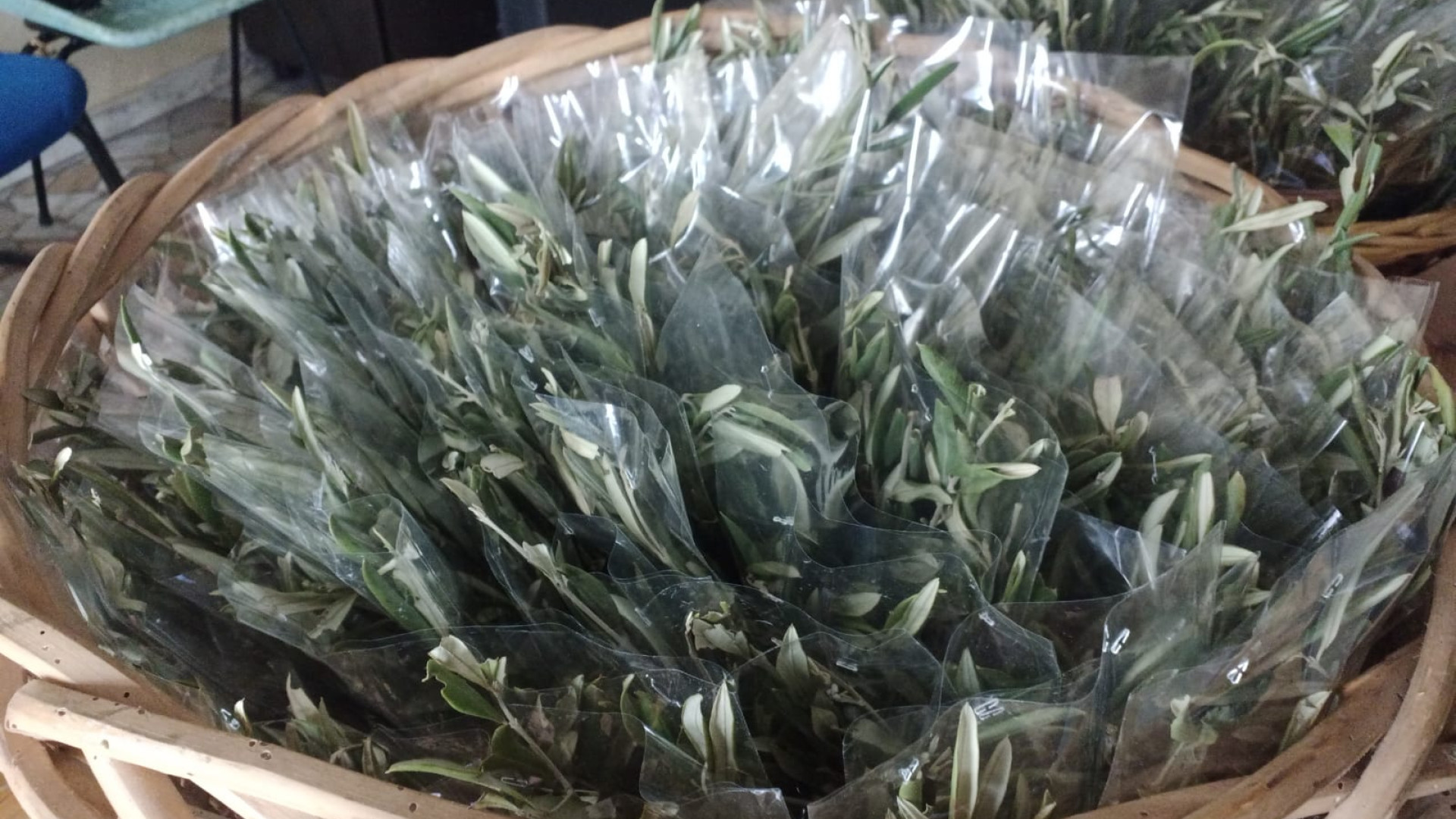 La Pasqua al tempo del Covid: "Rametti d'ulivo sigillati e niente lavanda dei piedi"
