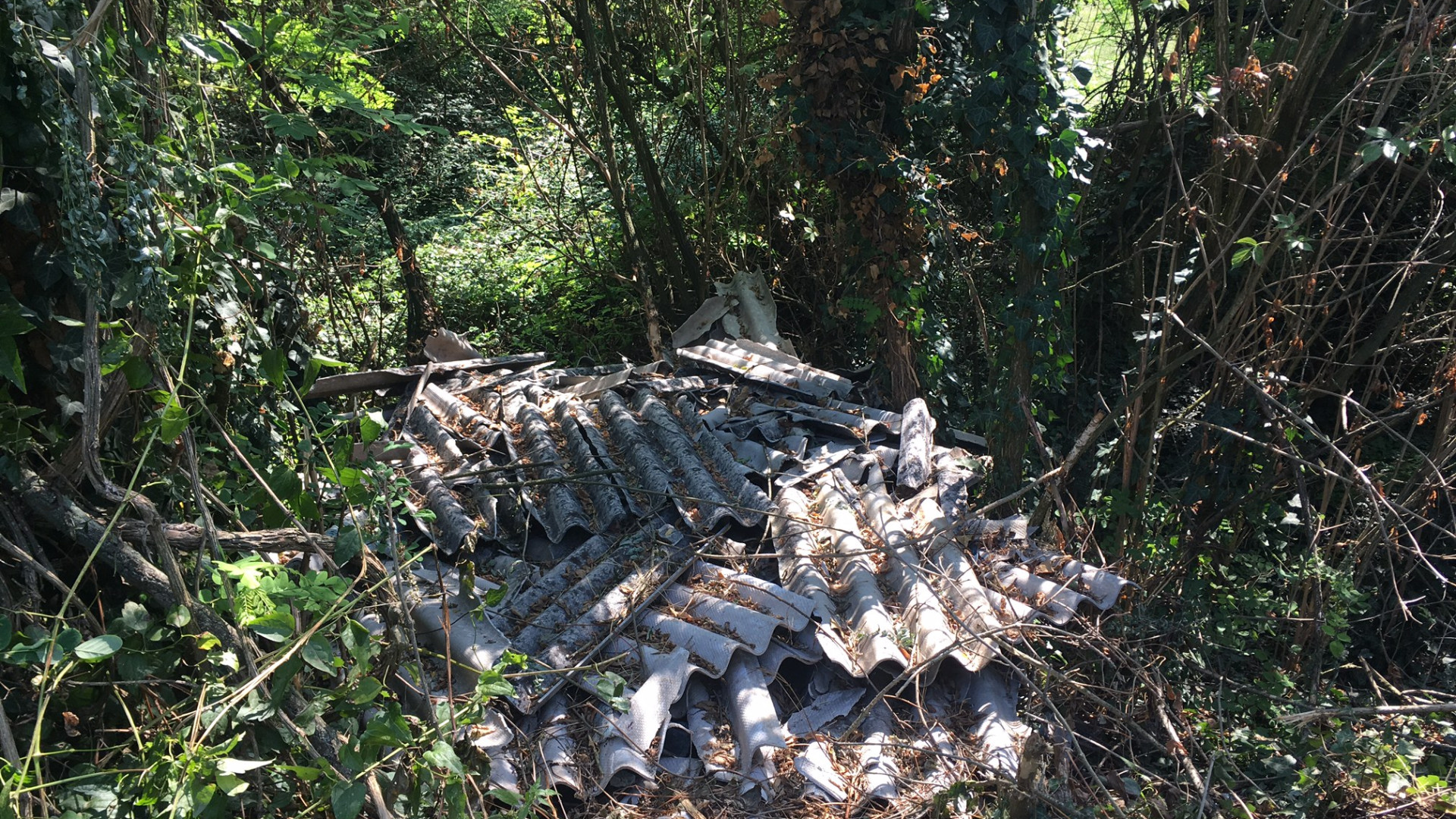 Passeggia lungo l'argine del Po e scopre discarica abusiva di amianto