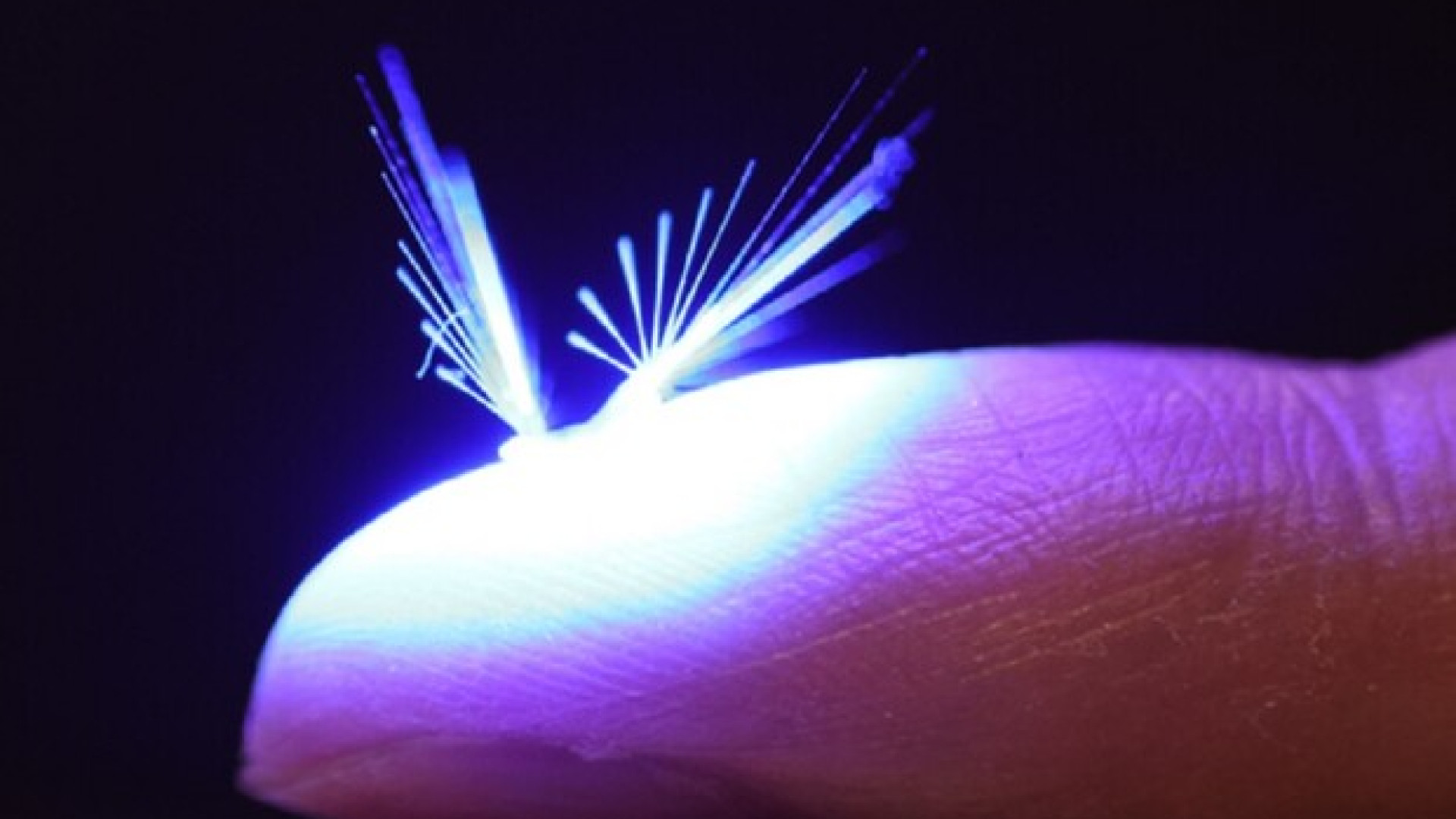 Vola come una fatina per impollinare le piante: il robot soffice ispirato ai soffioni