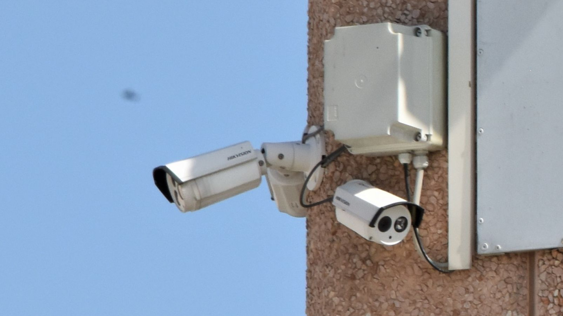 Elisa strangolata nel pollaio. Le telecamere di un'azienda hanno ripreso la tragedia