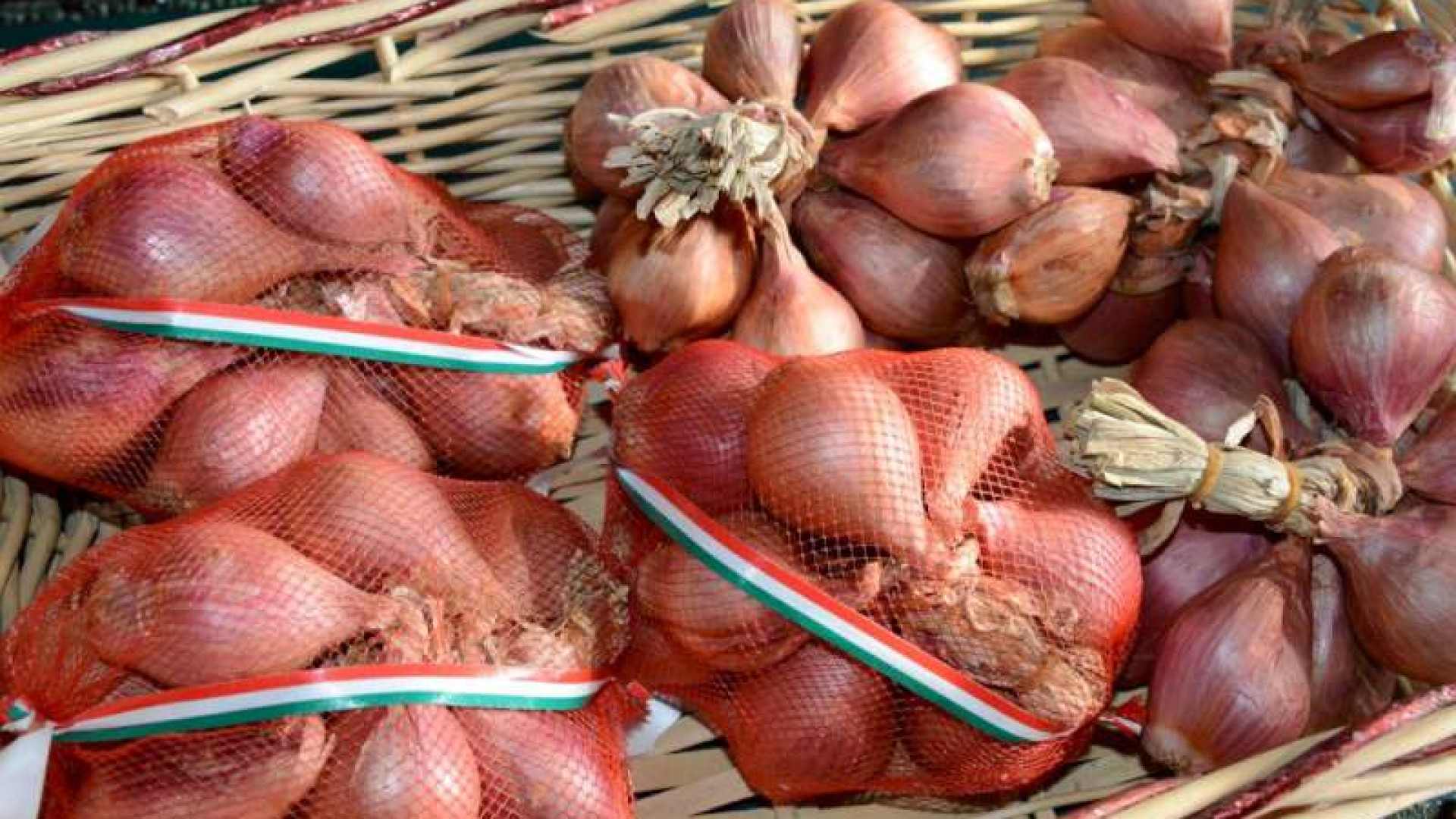 Scalogno piacentino, a settembre sagra a Castelvetro con il ministro Martina