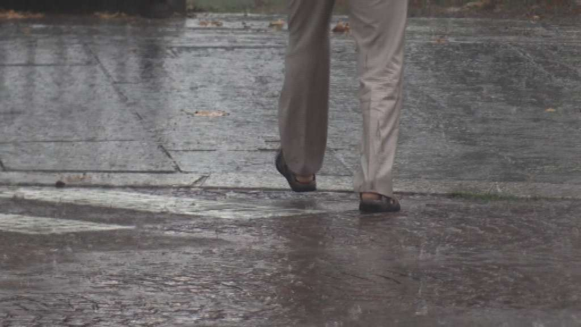 Colpo all'estate, è arrivato il maltempo: pioggia e fulmini su tutto il Piacentino. Temperature in calo