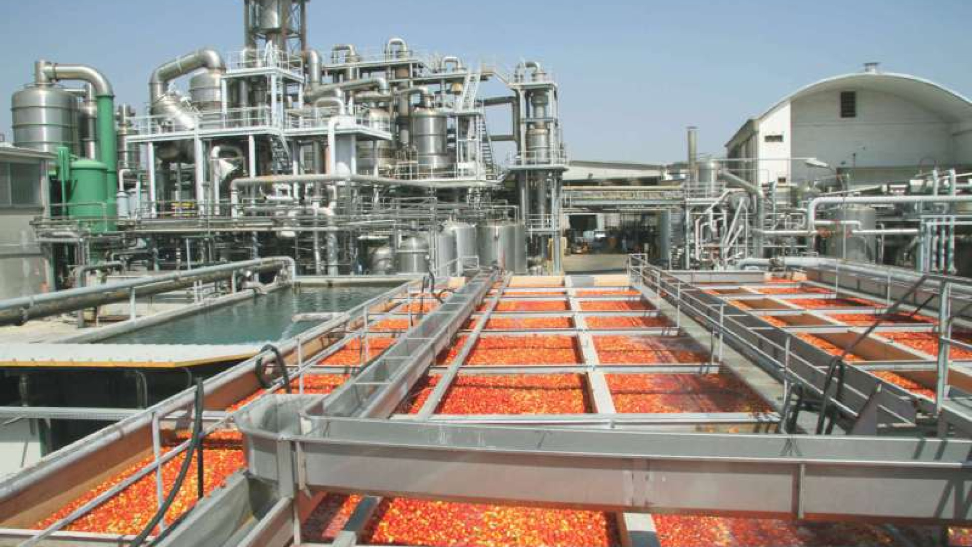 Fusione Arp-Casalasco, ok dei soci. Nasce il colosso del pomodoro