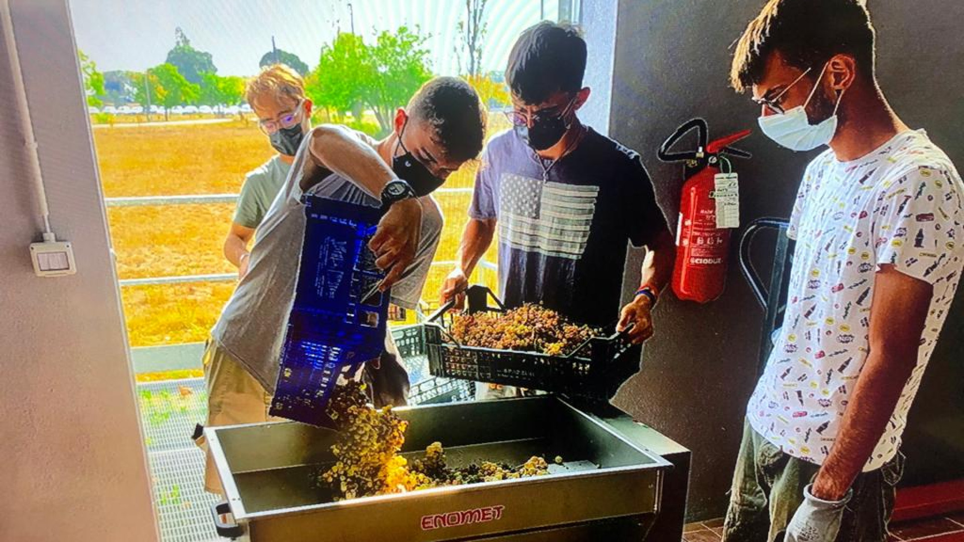 Campus Raineri-Marcora, ecco la nuova cantina vitivinicola: studenti al lavoro