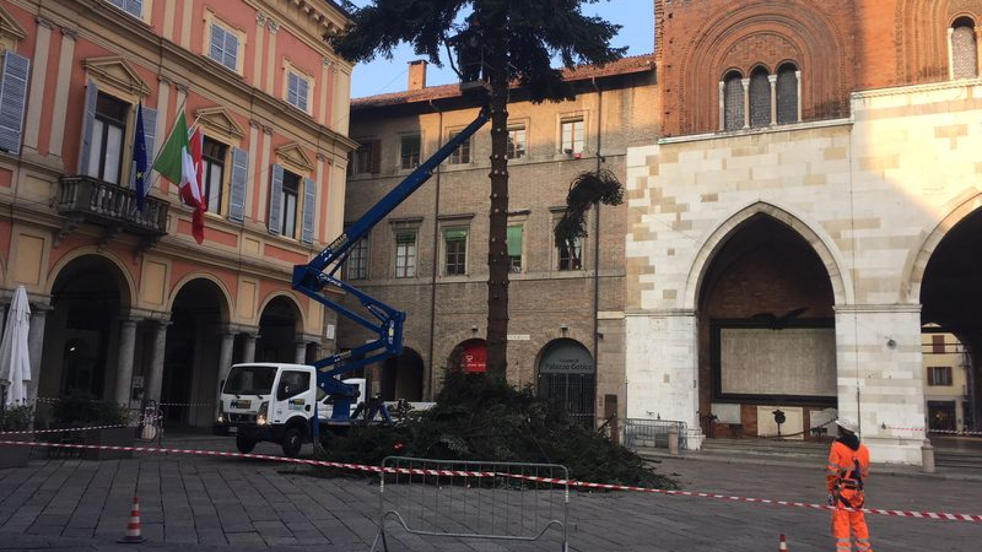 Albero di Natale smantellato: Piacenza ha salutato il pino di 20 metri