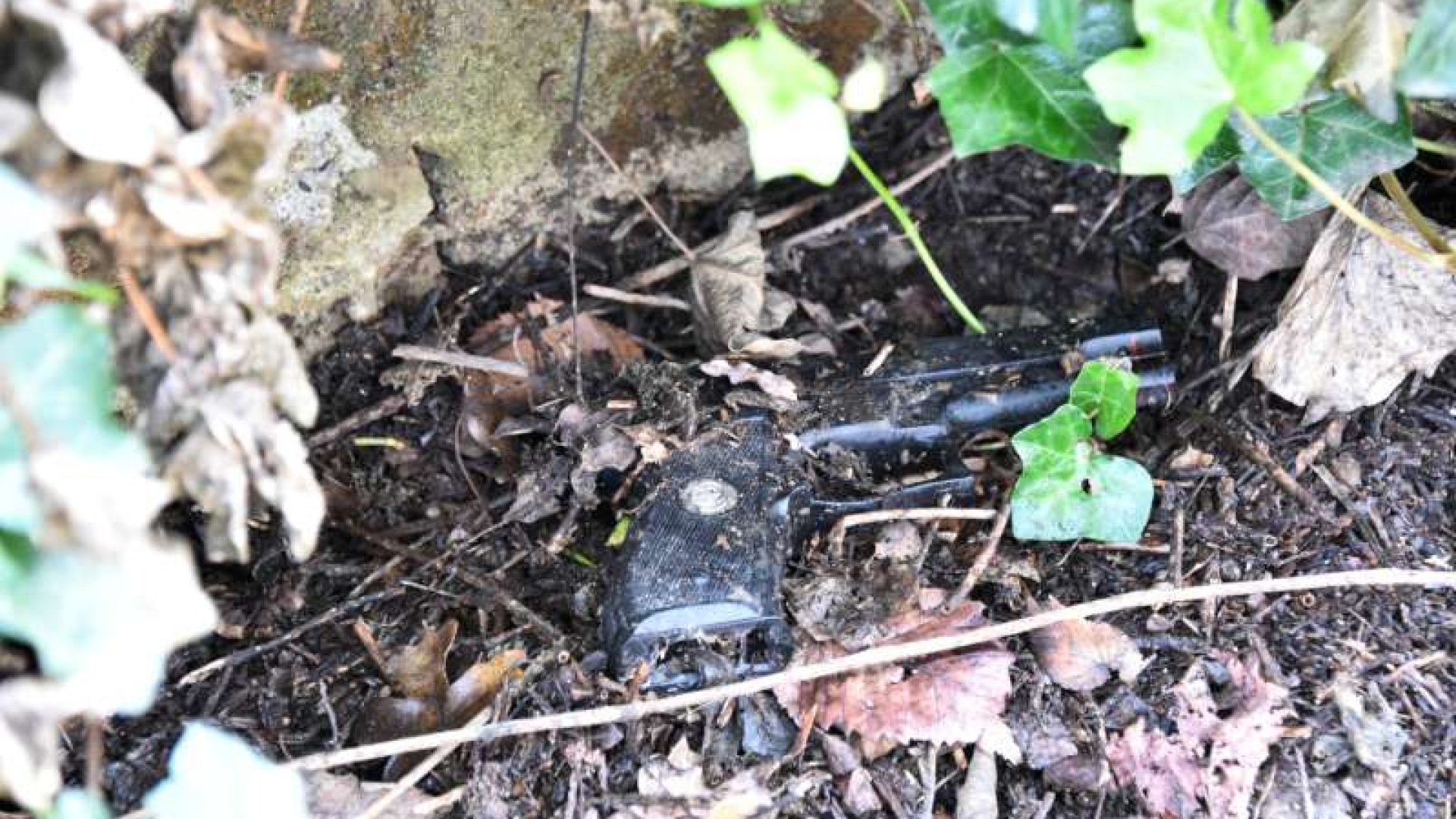 Giardini Margherita, passeggiano con il cane e trovano una pistola