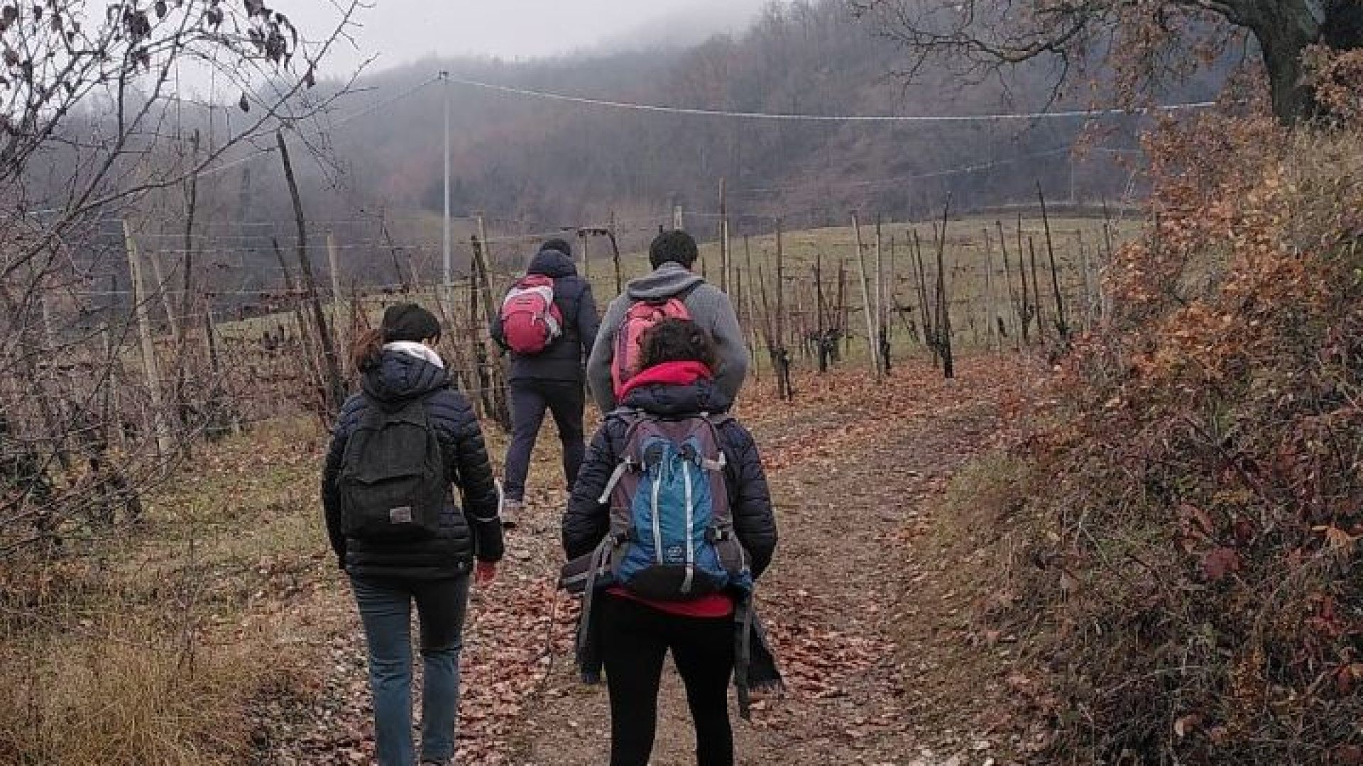 Pensieri in quota. Da Ponte dell'Olio a Mandrola: vigneti, castelli e coda d'aereo