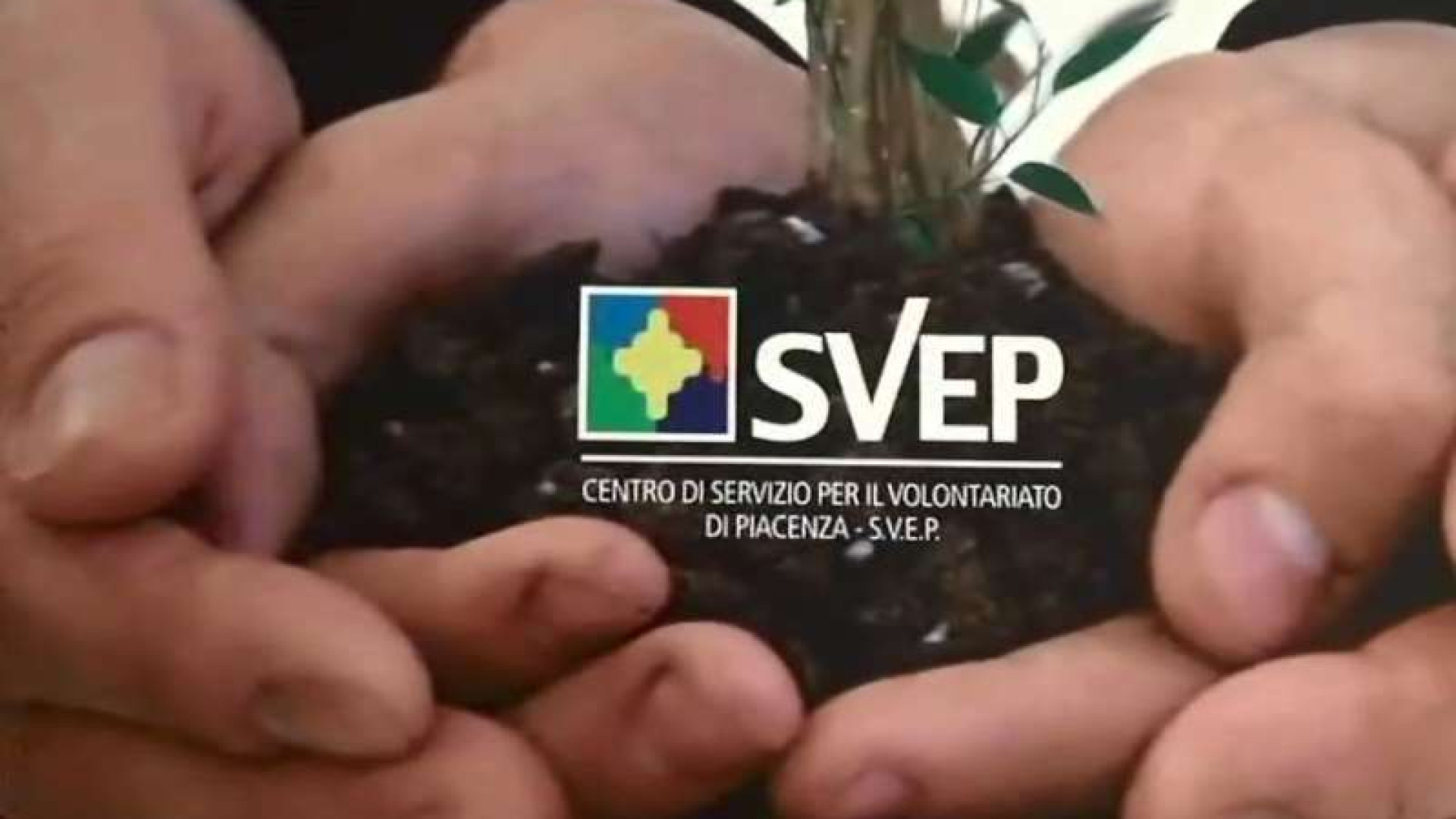 Volontariato, Svep compie 20 anni. Nel Piacentino 347 associazioni