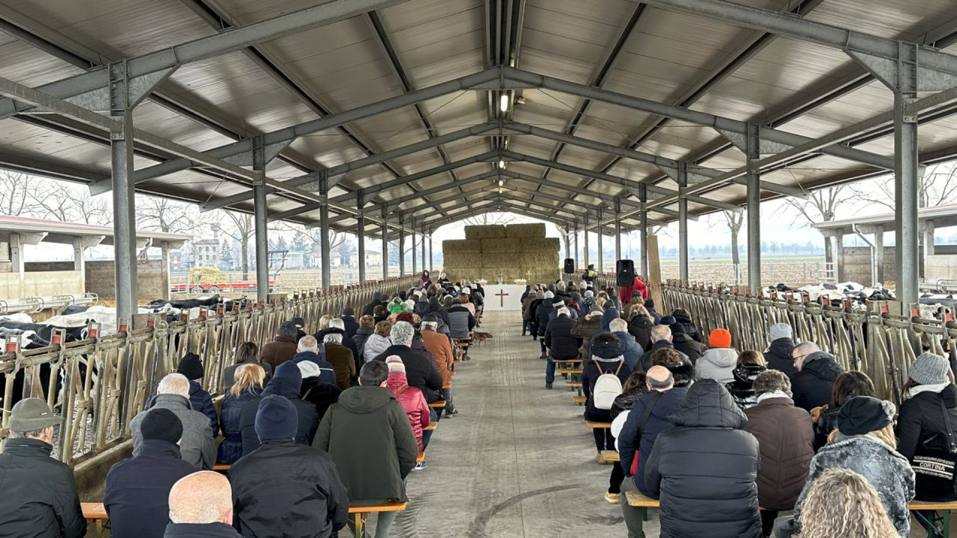 Sant'Antonio Abate, in 200 alla tradizionale messa nella stalla a Campremoldo Sotto