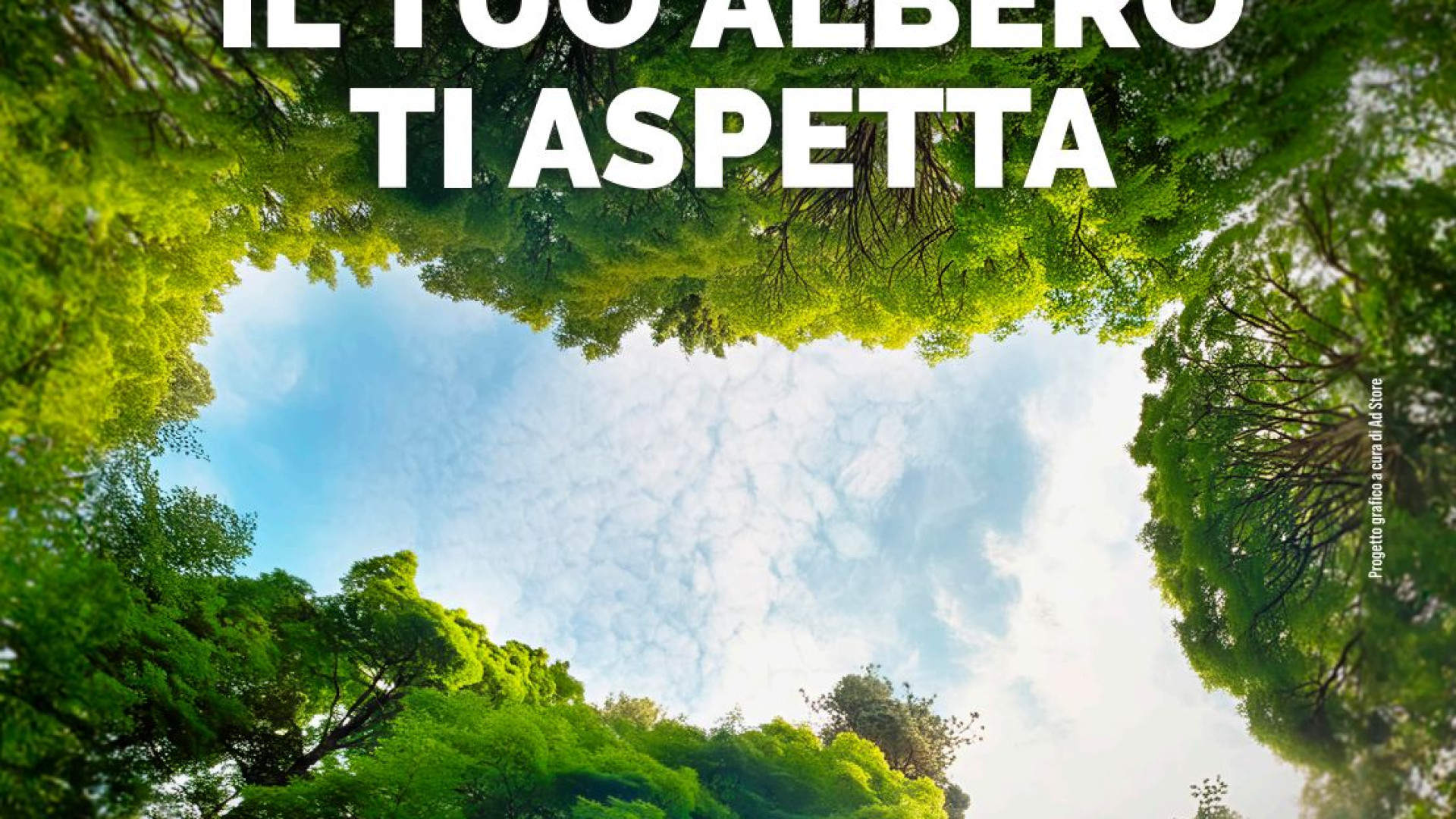 Piacenza sempre più verde: 145mila alberi piantati nella nostra provincia in 4 anni