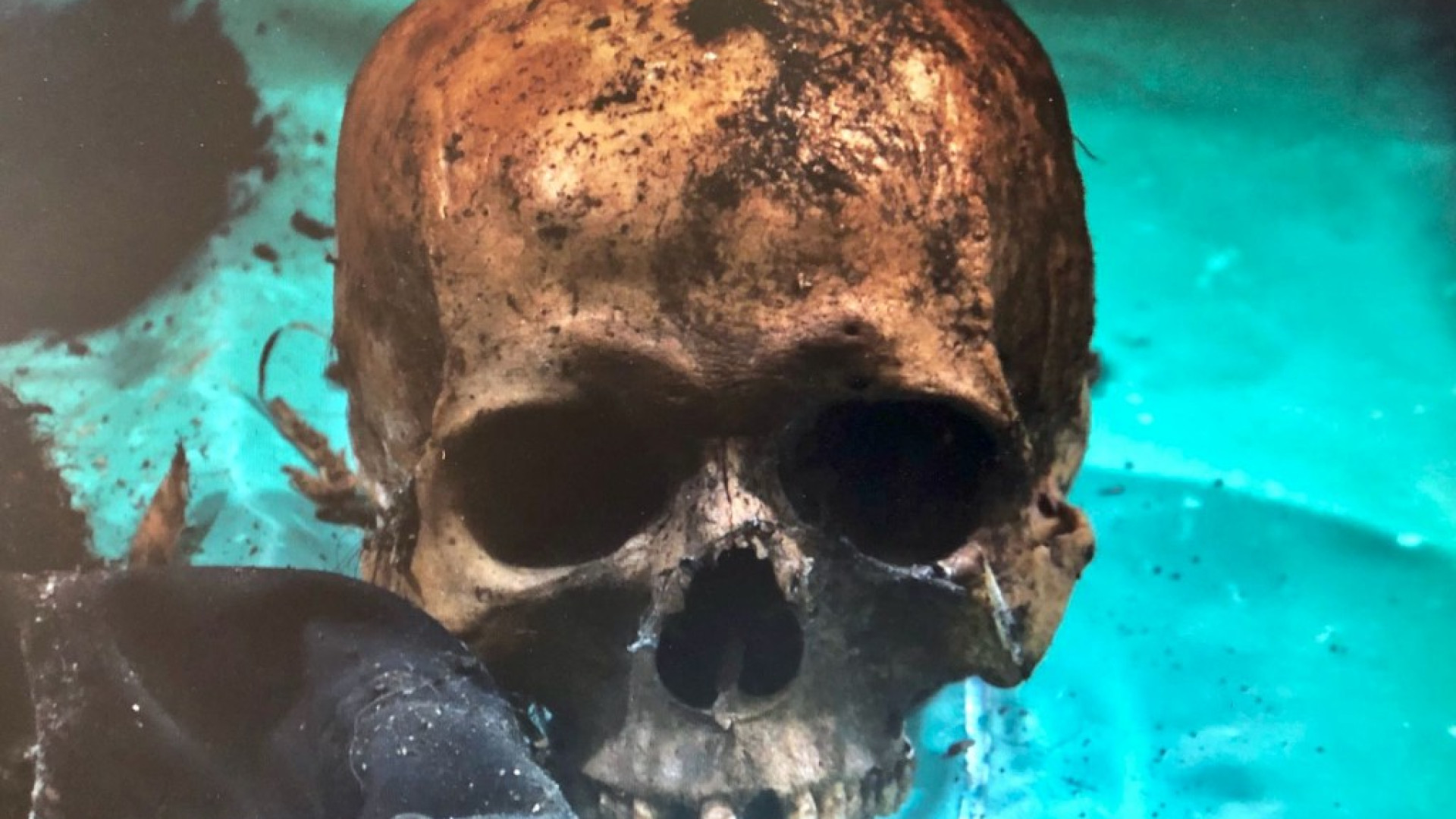 Borgotrebbia, cadavere nell'ex maneggio. Mistero sulla morte: risalirebbe a circa 15 anni fa