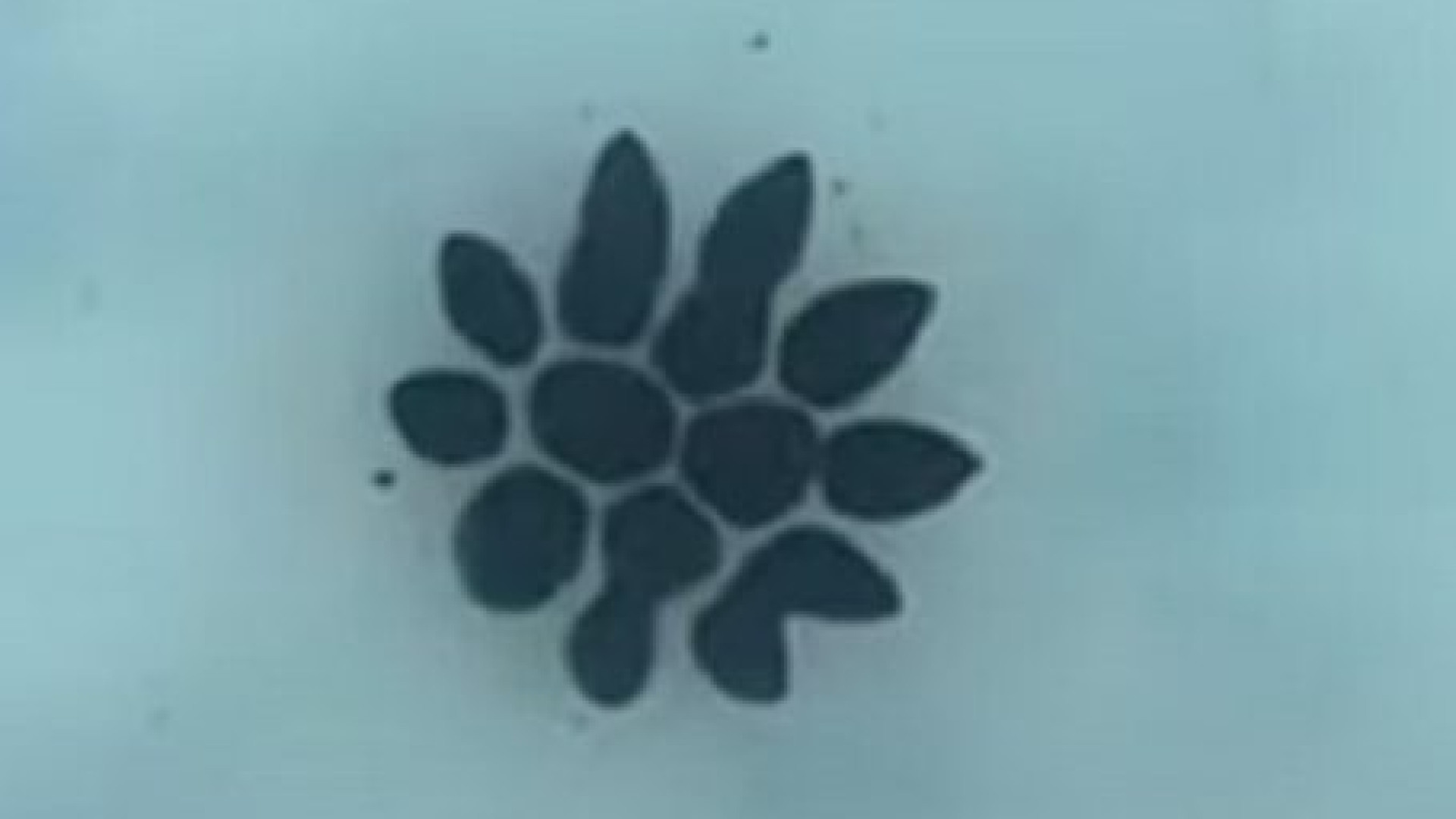 Il robot che si fa a pezzi e poi si ricompone per viaggiare nel corpo umano