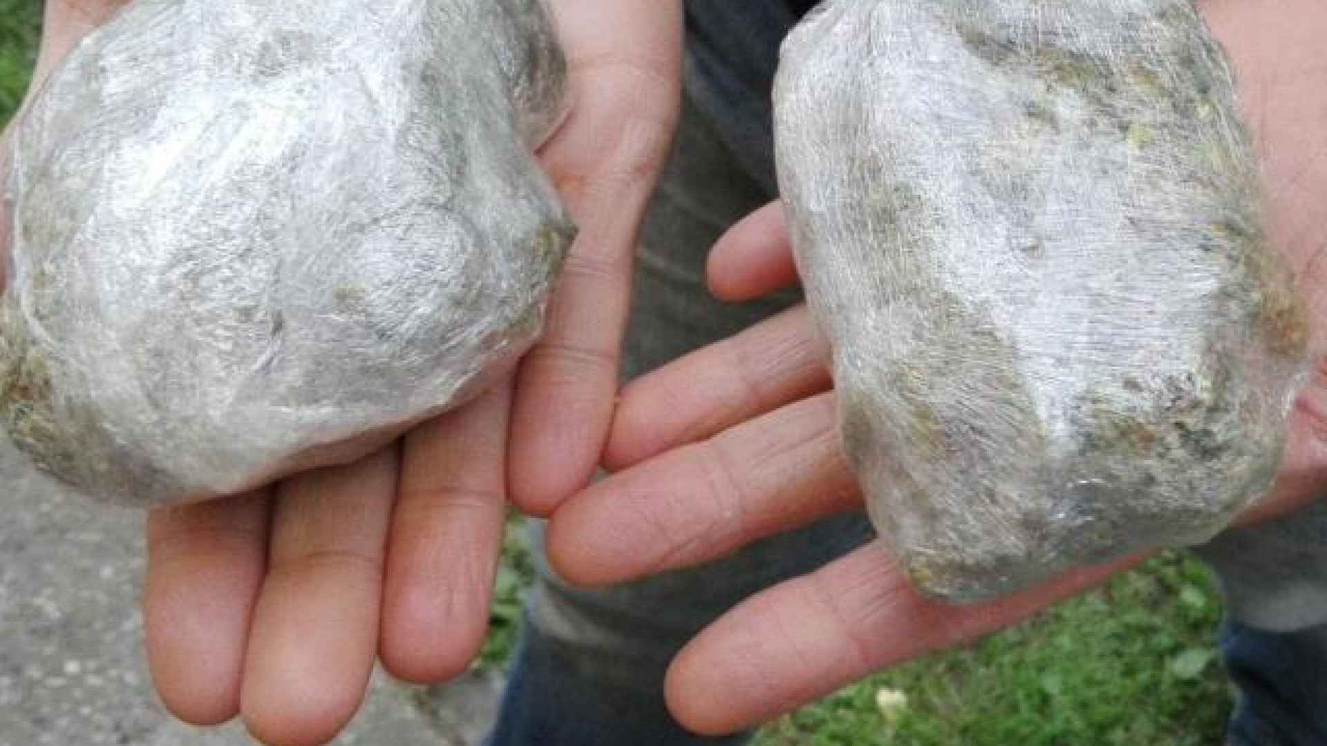 Girava alla stazione con un etto di marijuana nello zainetto: 15enne arrestato