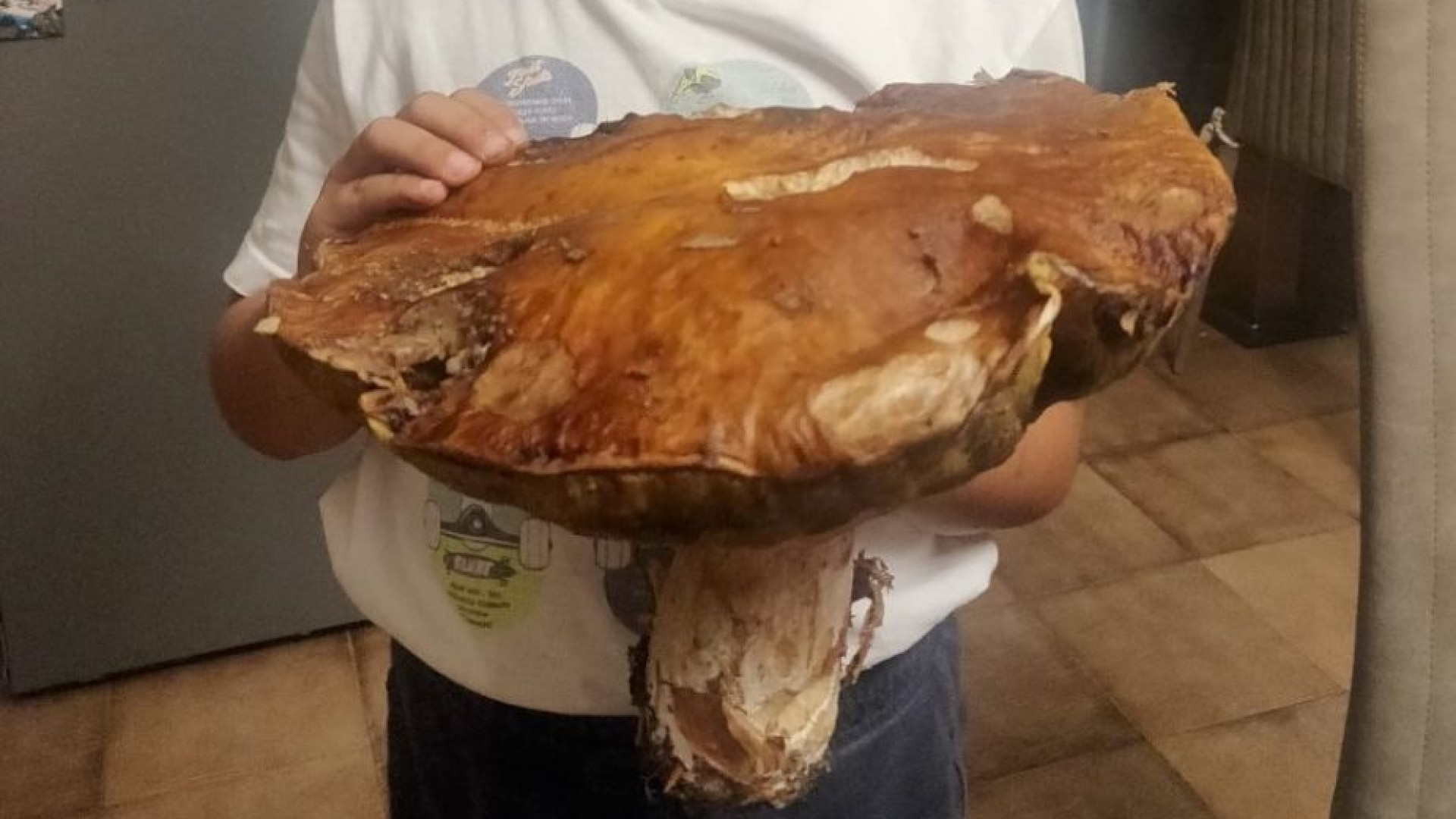 L'Alta Val Nure torna il paradiso dei fungaioli.Ma fioccano le multe