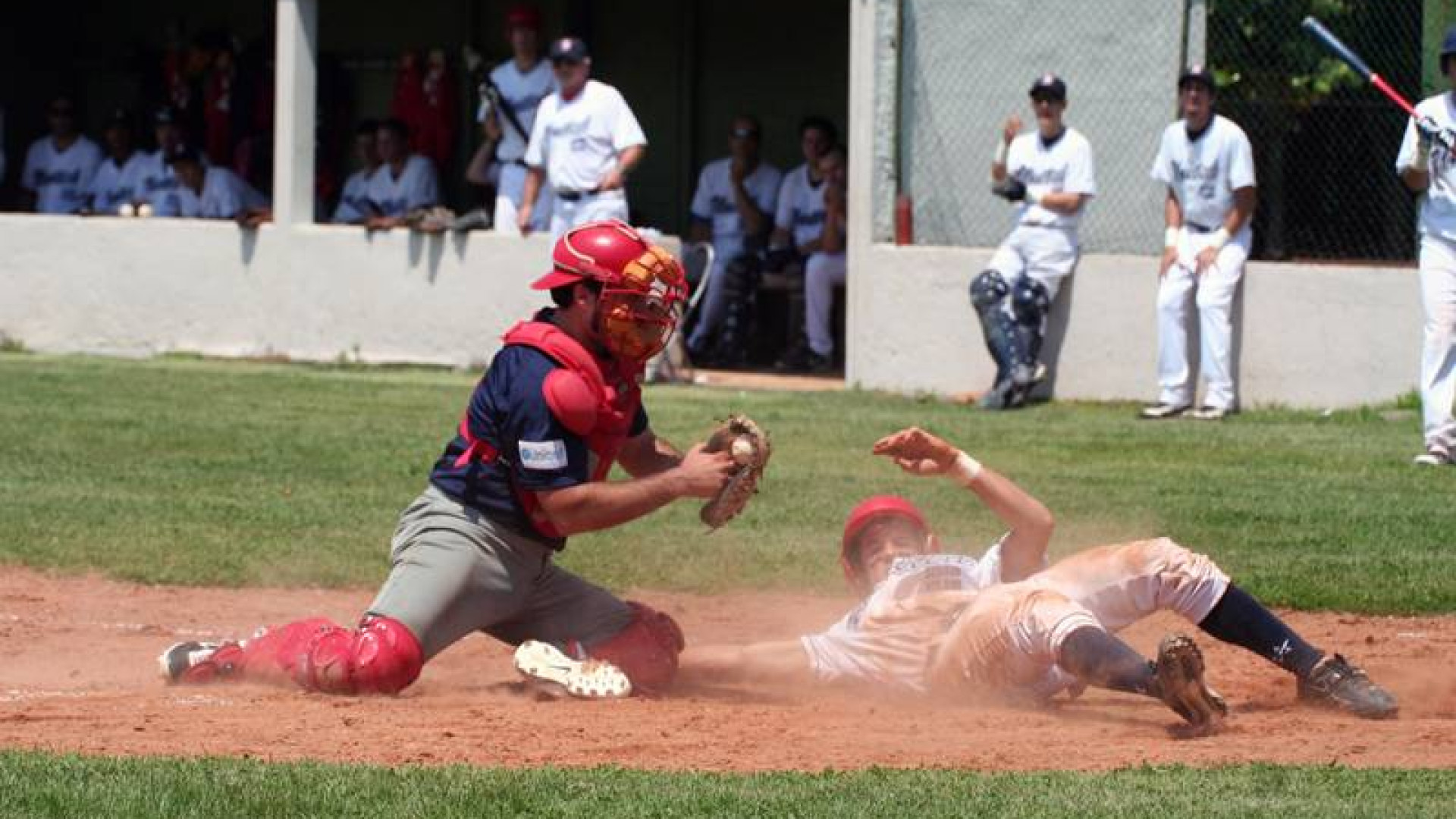 Baseball, il maltempo costringe al rinvio del torneo De Benedetti