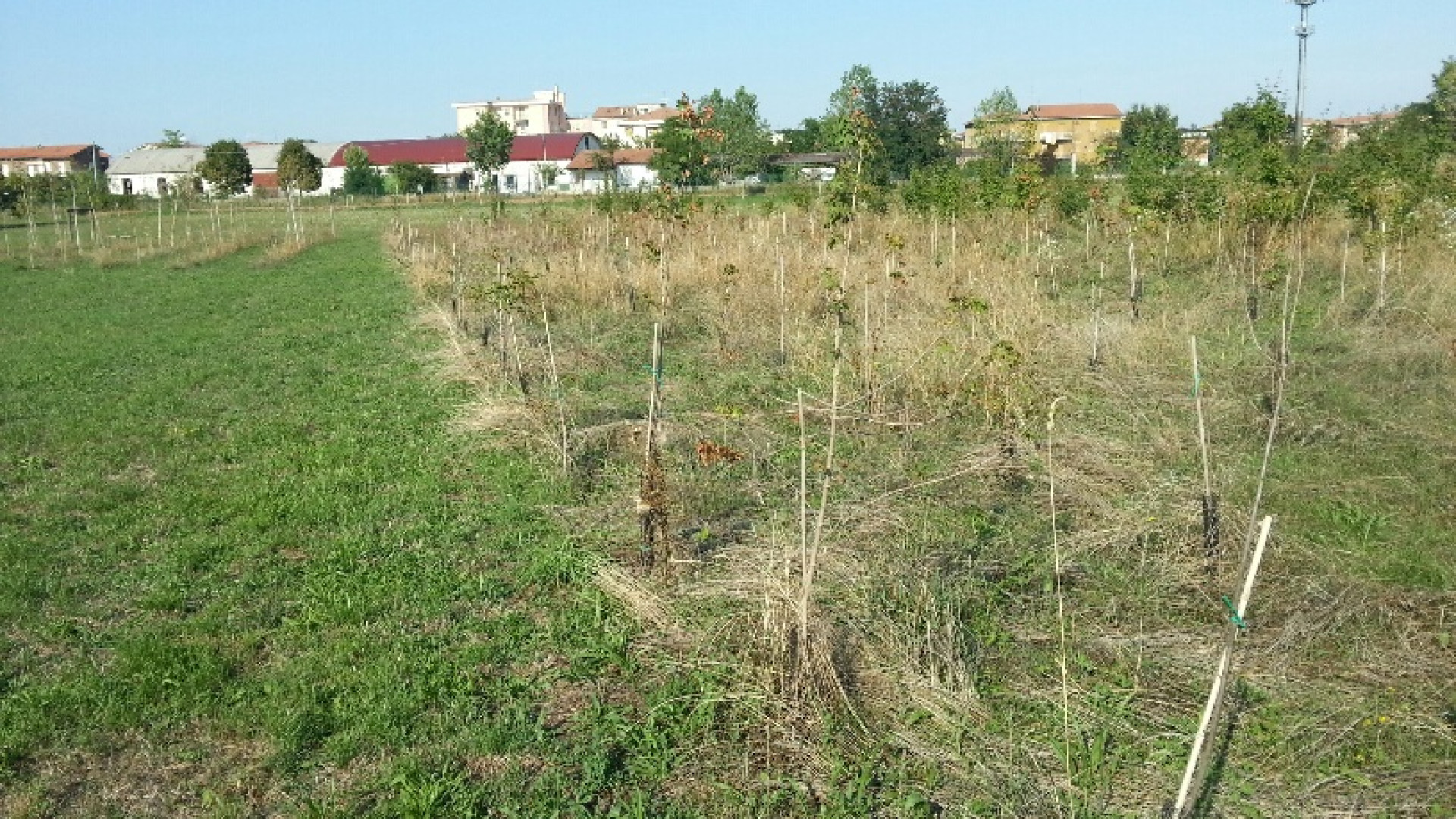 Parco di Montecucco: degrado ed atti vandalici. Cisini: “Provvederemo”