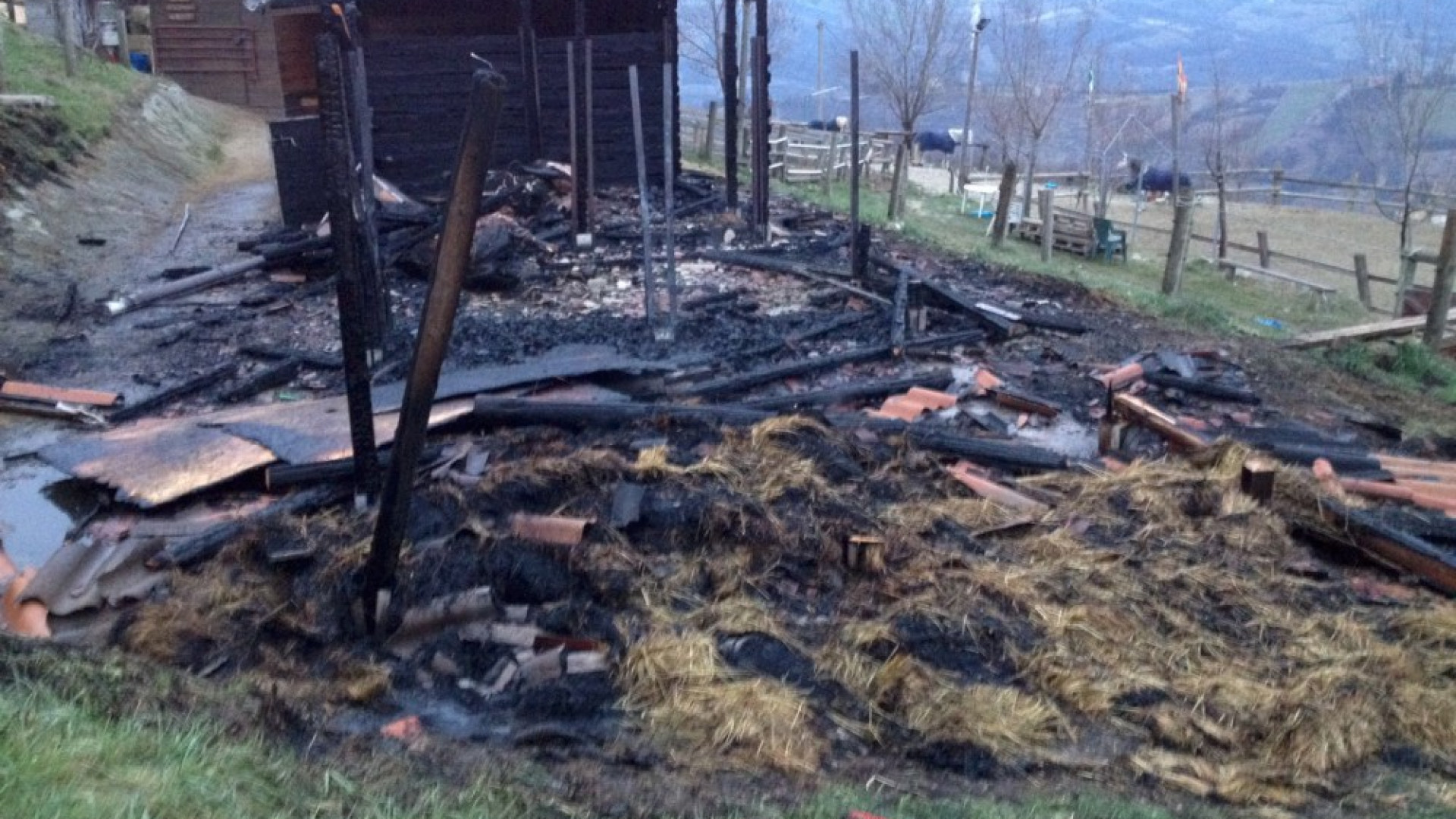 San Genesio, incendio nella scuderia: morti due cavalli