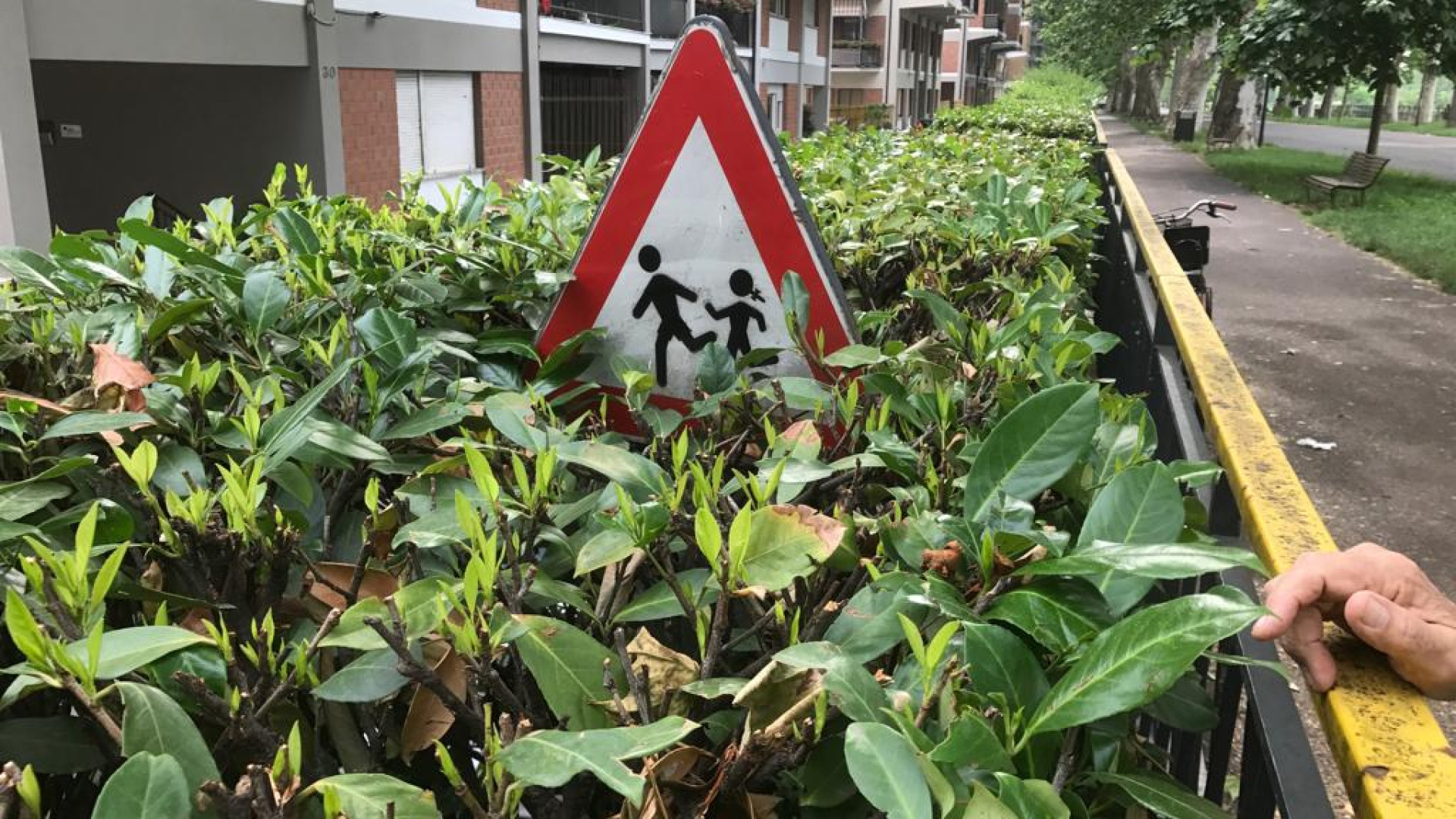 Buche, toppe d'asfalto e panchine malandate: "Degrado anche qui"