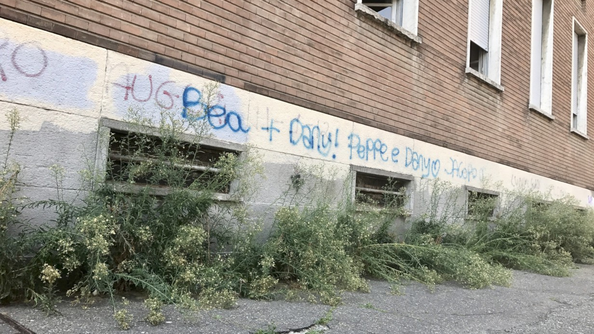 "Erbacce alte un metro contro il liceo Gioia". La segnalazione di una prof