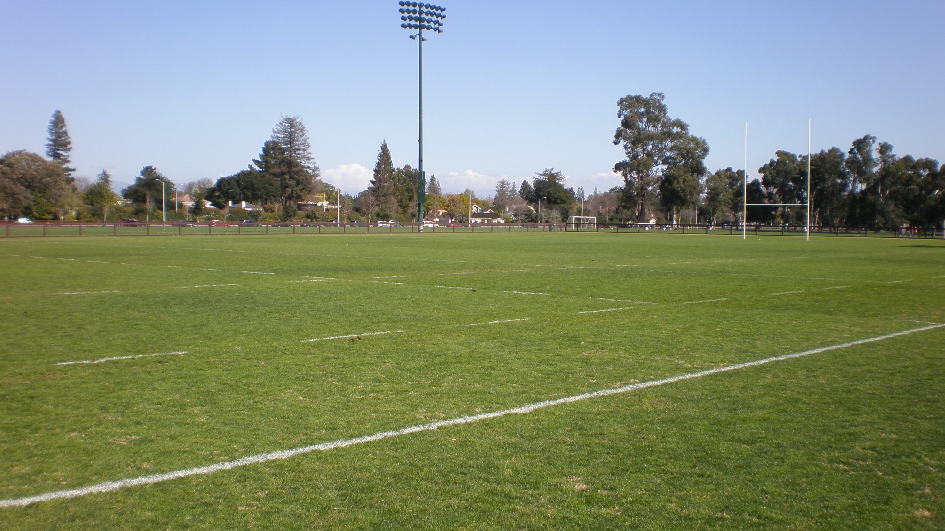 Rugby: Sitav Lyons, al Trofeo Eccellenza il Viadana s'impone 40-0
