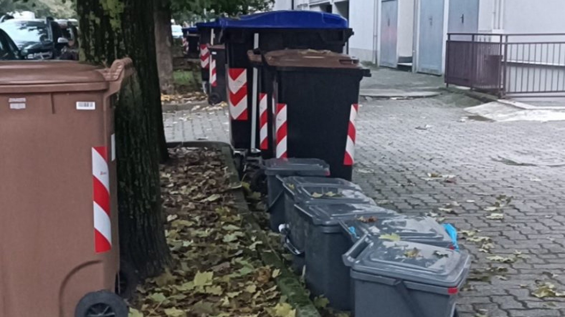 Raccolta differenziata a Sant'Antonio, proteste: “Invasione di bidoni"